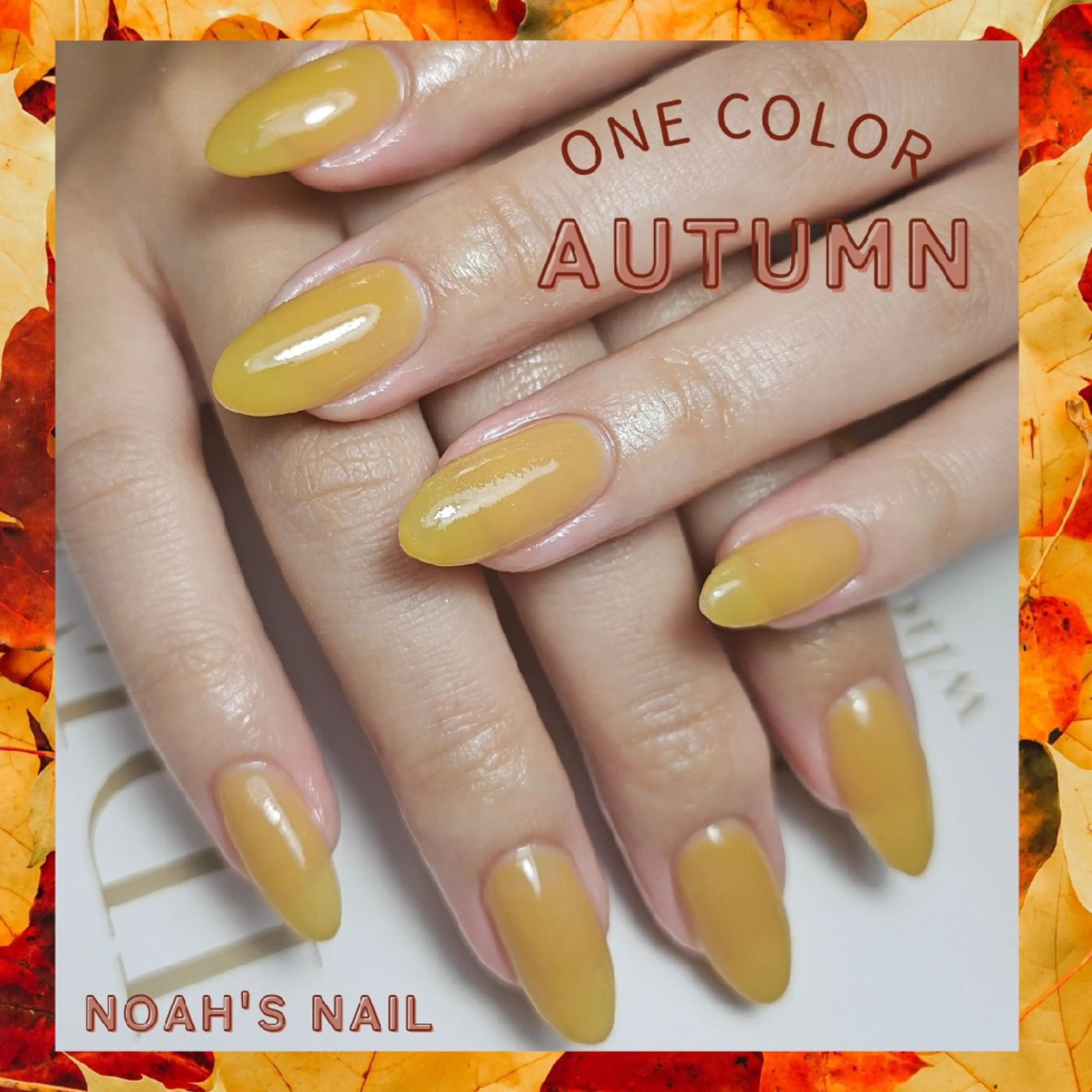 ネイル ネイルチップ ハンドネイル Noah'snail   のネイルデザイン