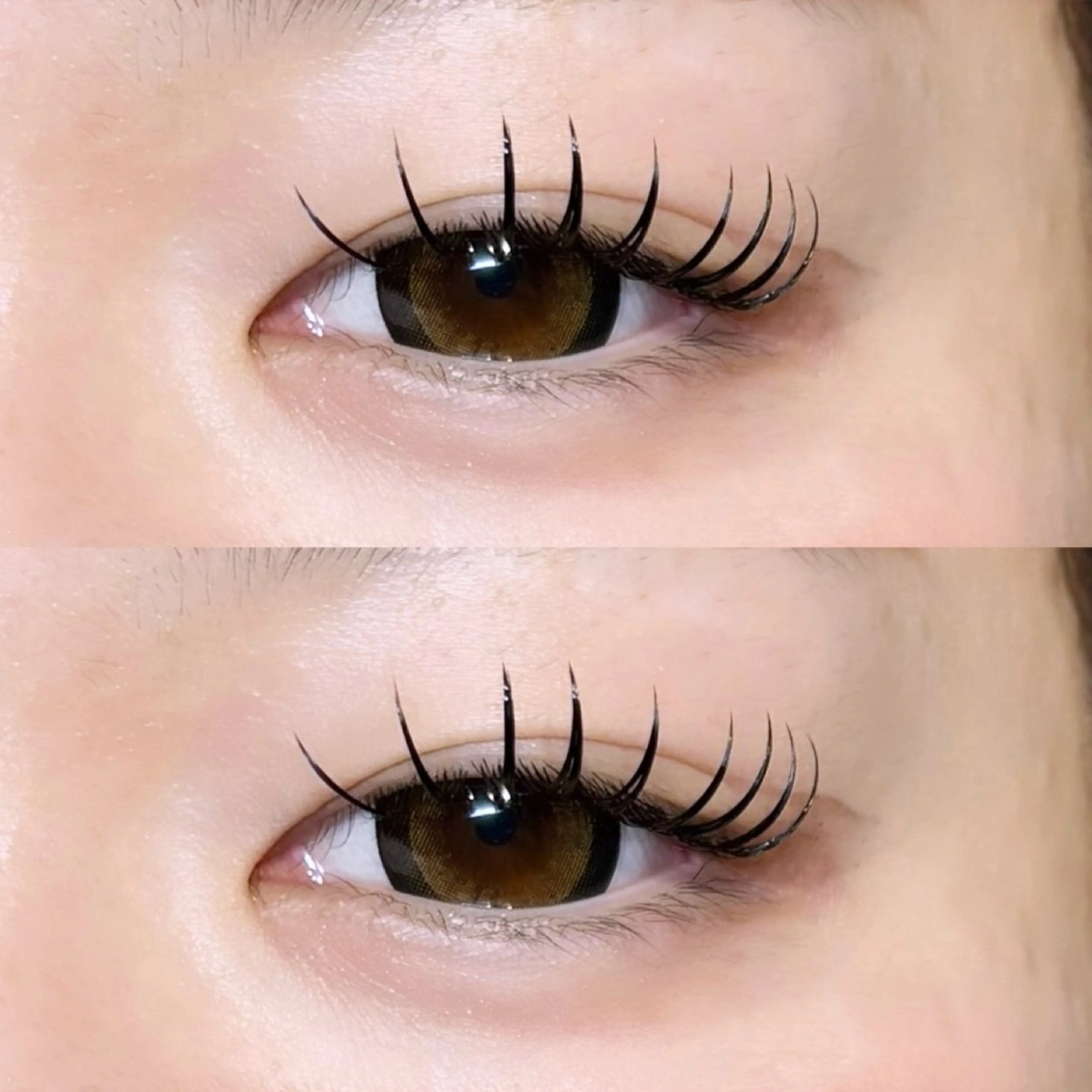 バインドロック　80束⋆͛✩の写真