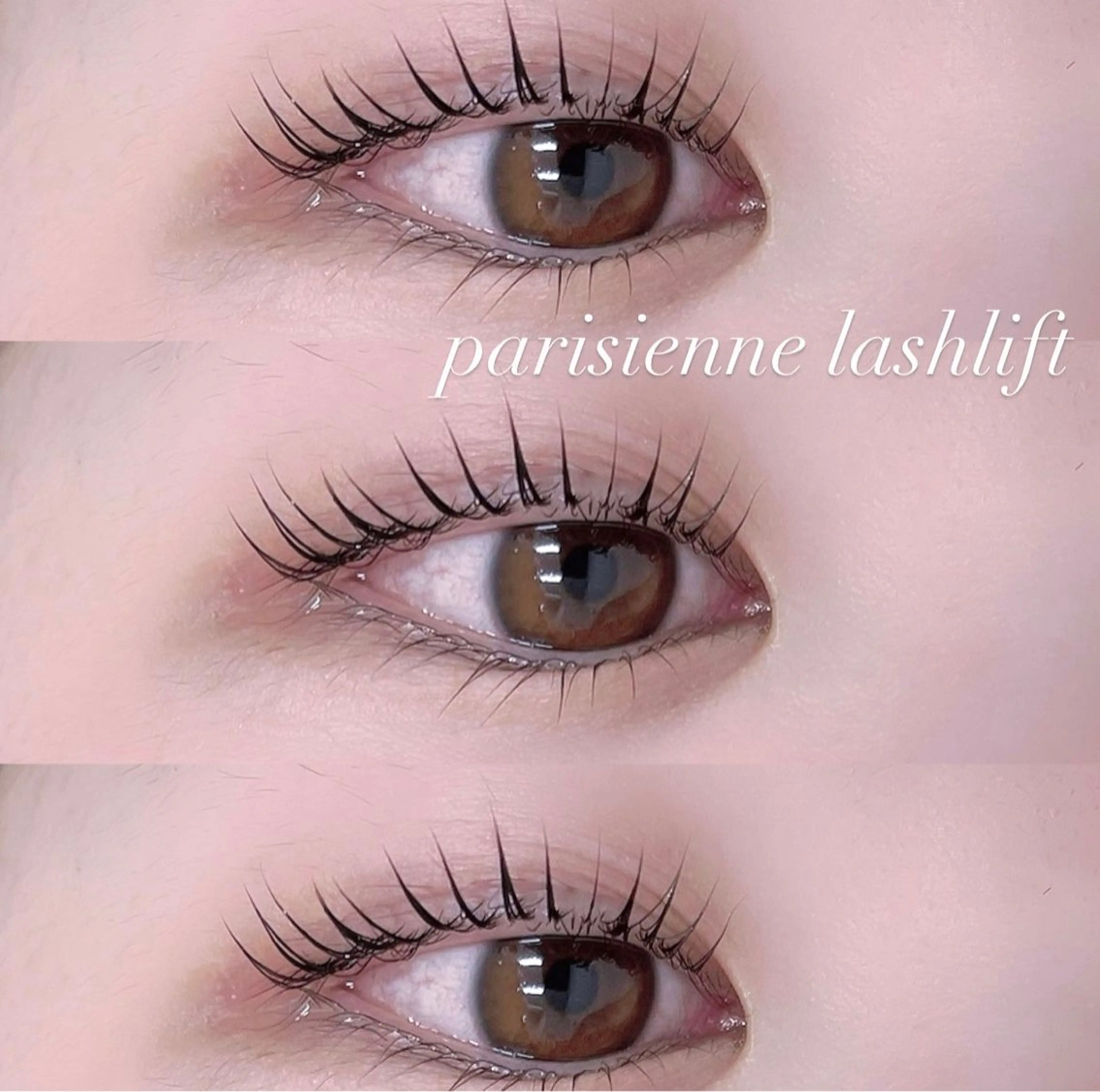 当日限定🧸パリジェンヌラッシュリフト🧸の写真