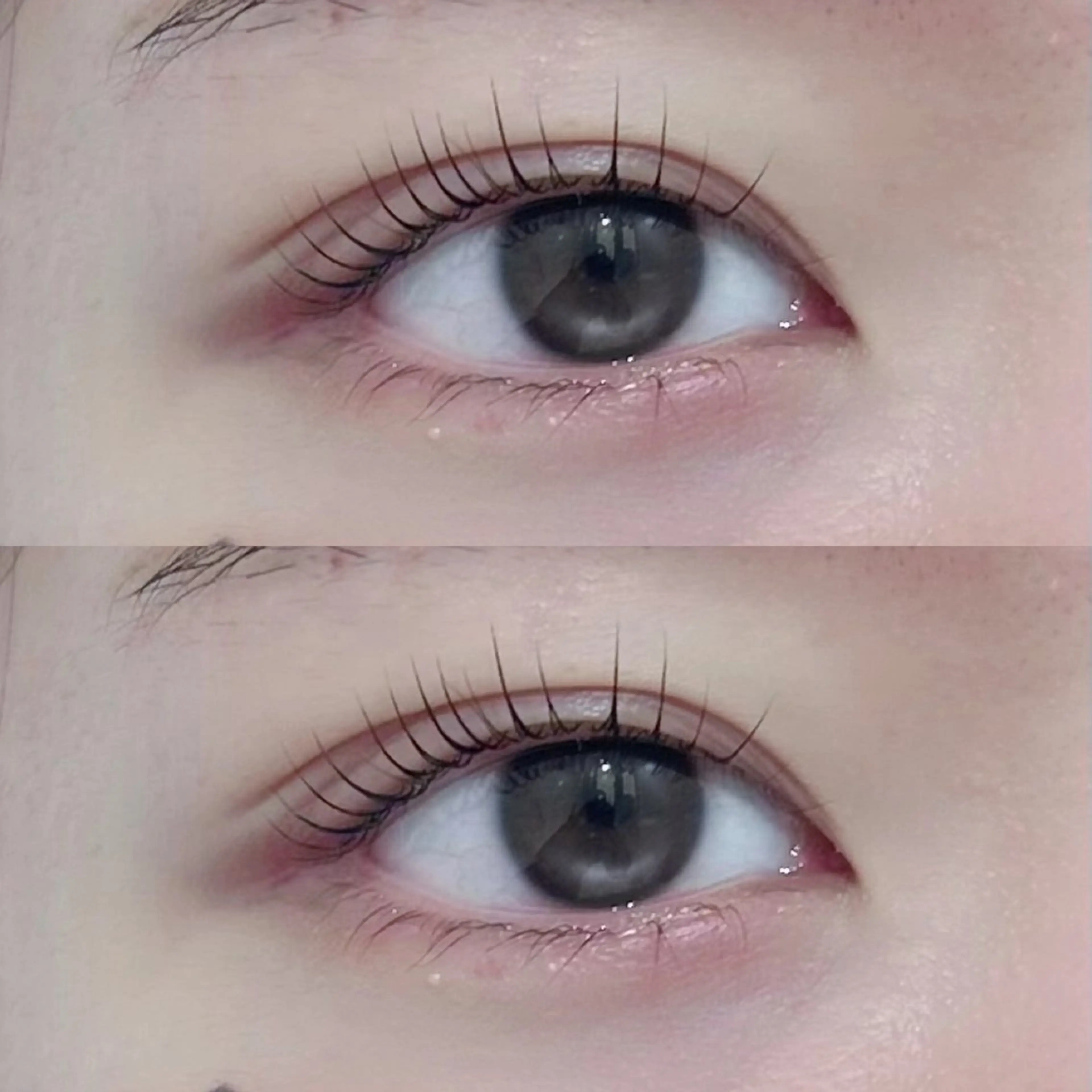 《💠ケアしながらぱっちり💫》 まつげパーマ＋高濃度トリートメント付🪄 — ダメージレスで潤う美まつげ👀✨の写真