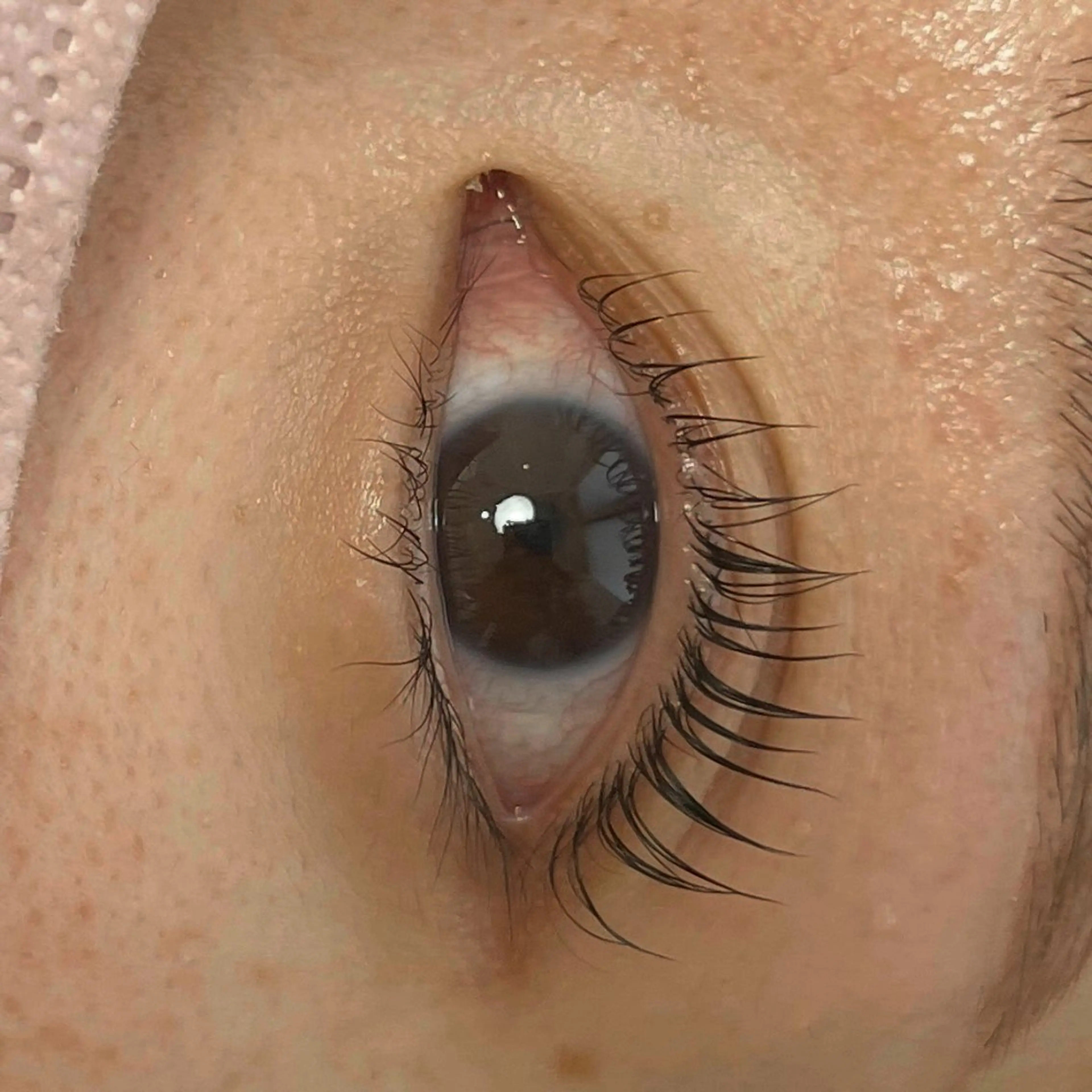 マツエク・マツパ パリジェンヌラッシュリフト Alice梅田茶屋町所属・鈴木 海帆のマツエク・マツパデザイン