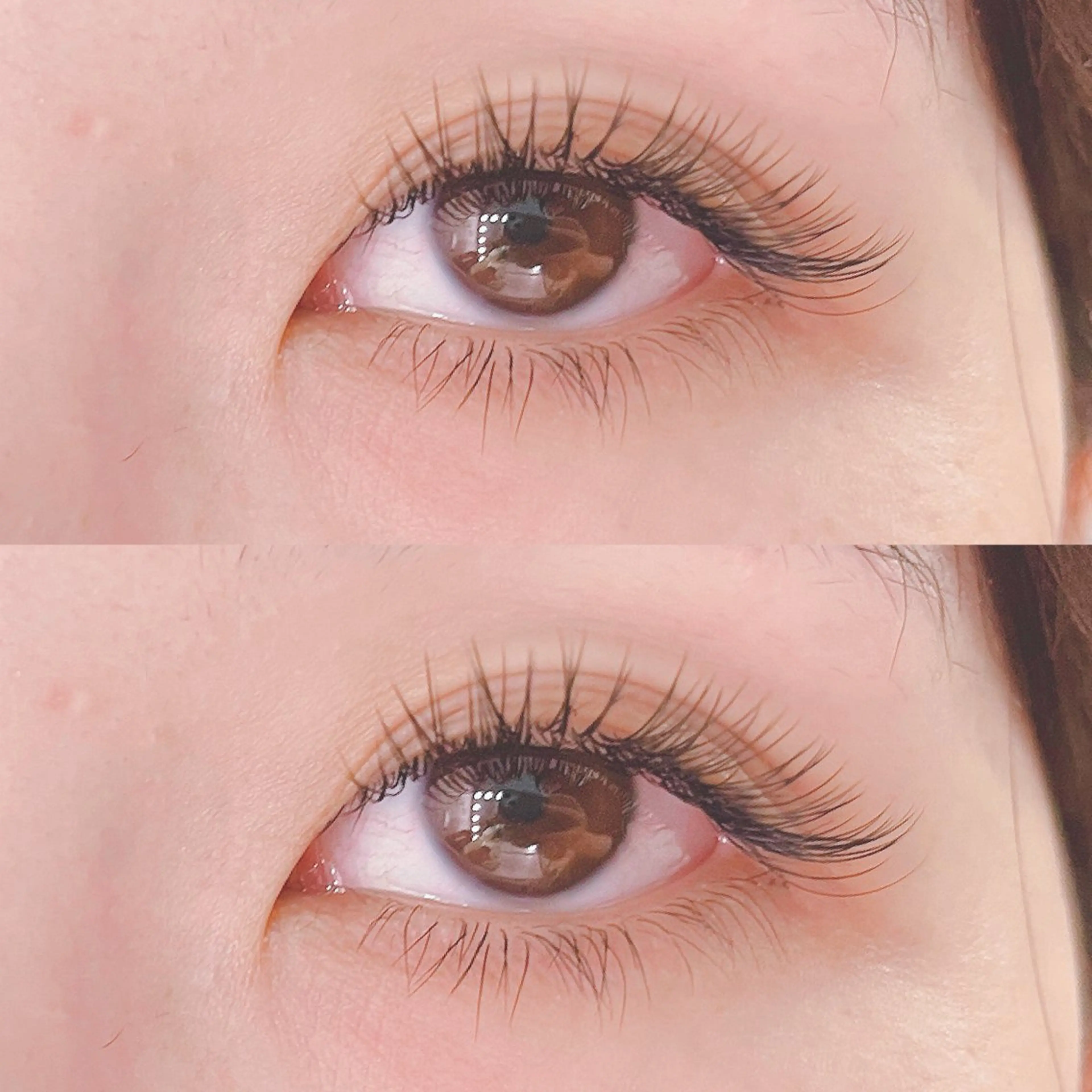 マツエク・マツパ フラットラッシュ アップワードラッシュ マツエク・マツパ FUKUMOTOのマツエク・マツパデザイン