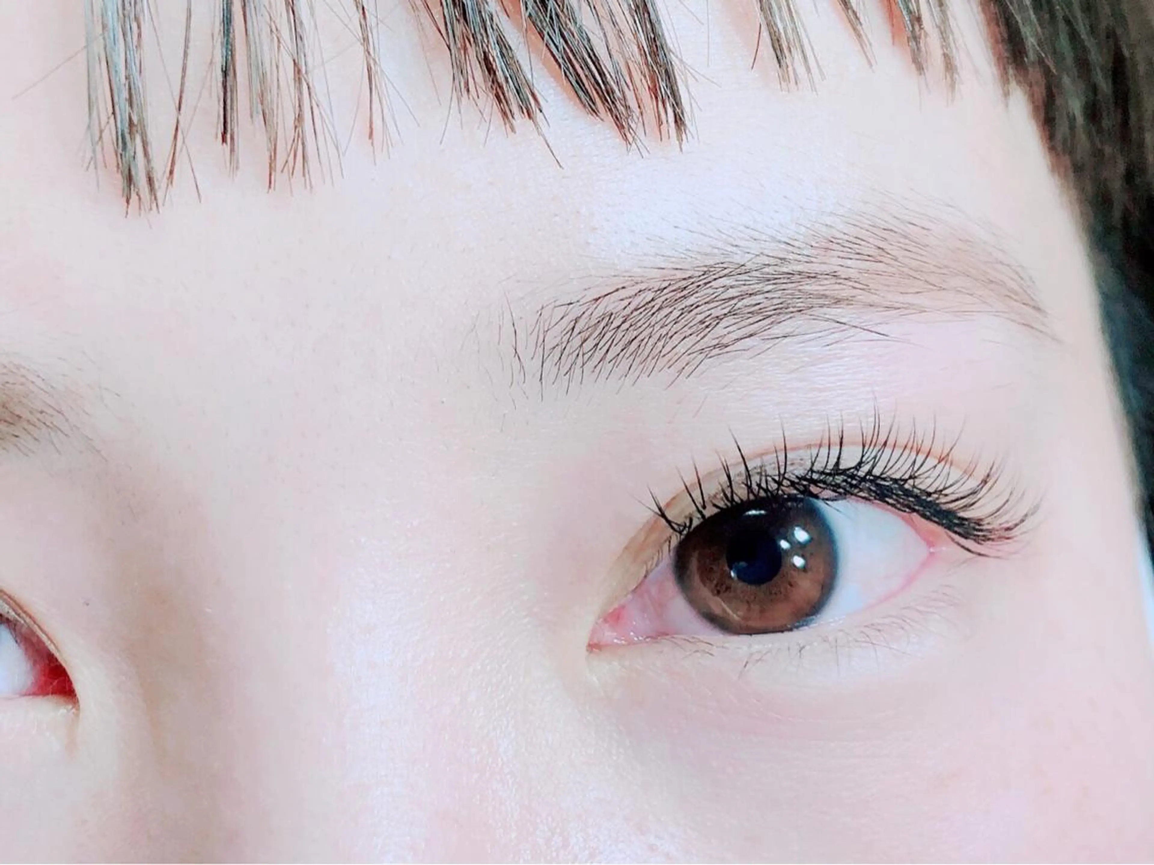 シングル100本フラットラッシュの写真