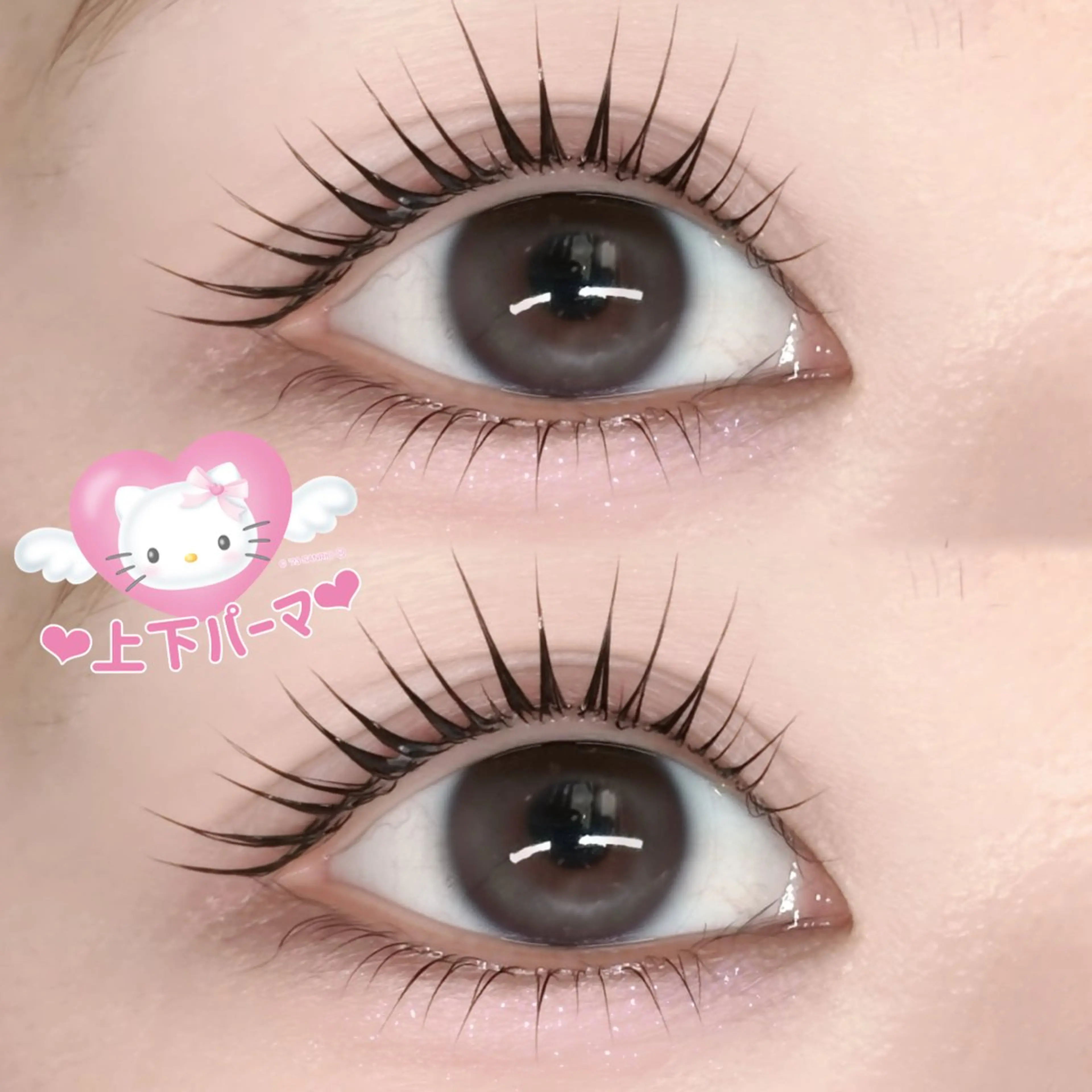 マツエク・マツパ 韓国風マツエク まつげパーマ 下まつげエクステ FaB 千葉店所属・🩶LEDエクステ& 上下パーマRAN🪽のマツエク・マツパデザイン