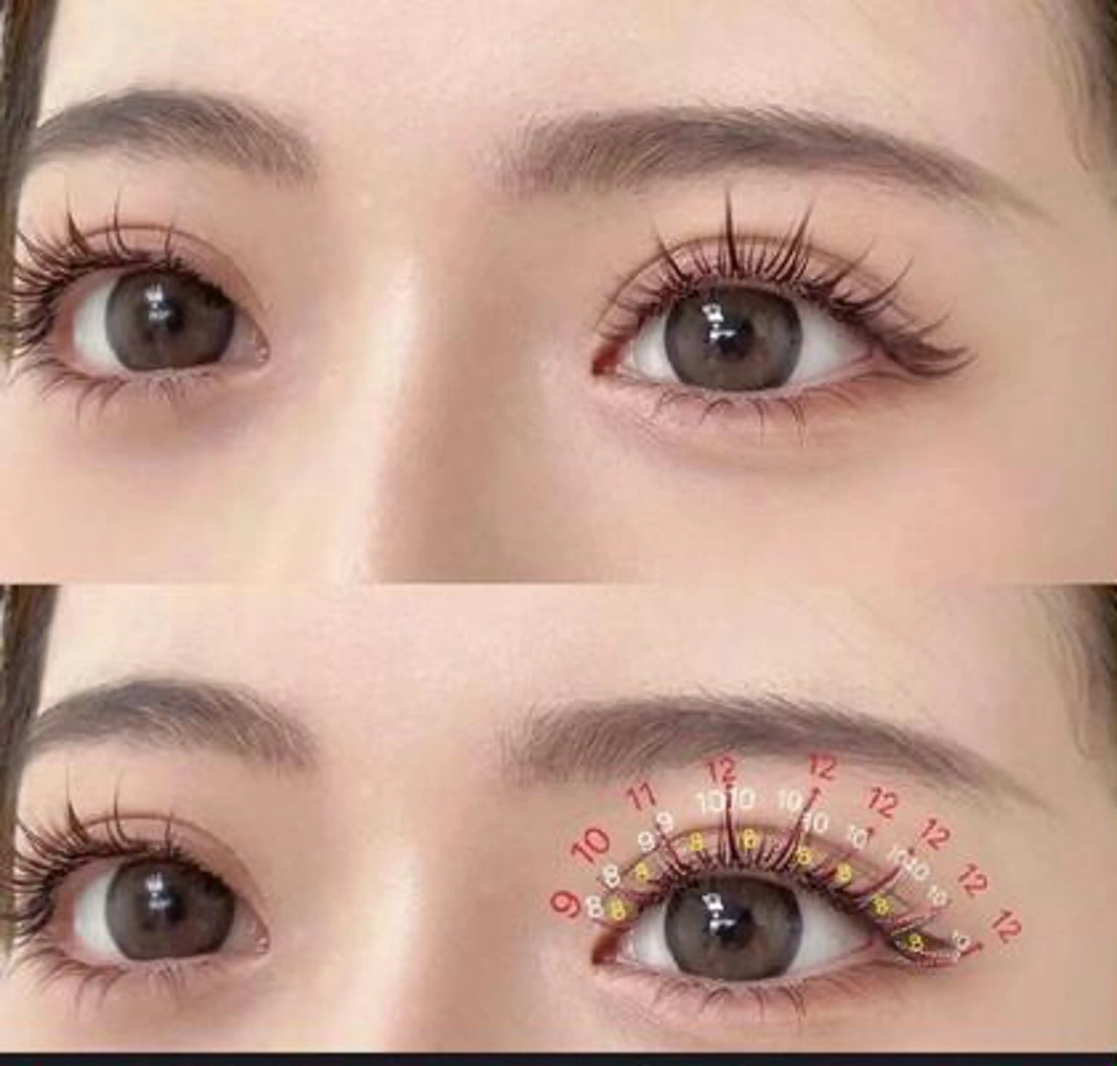 ワンホンボリュームラッシュ120束の写真