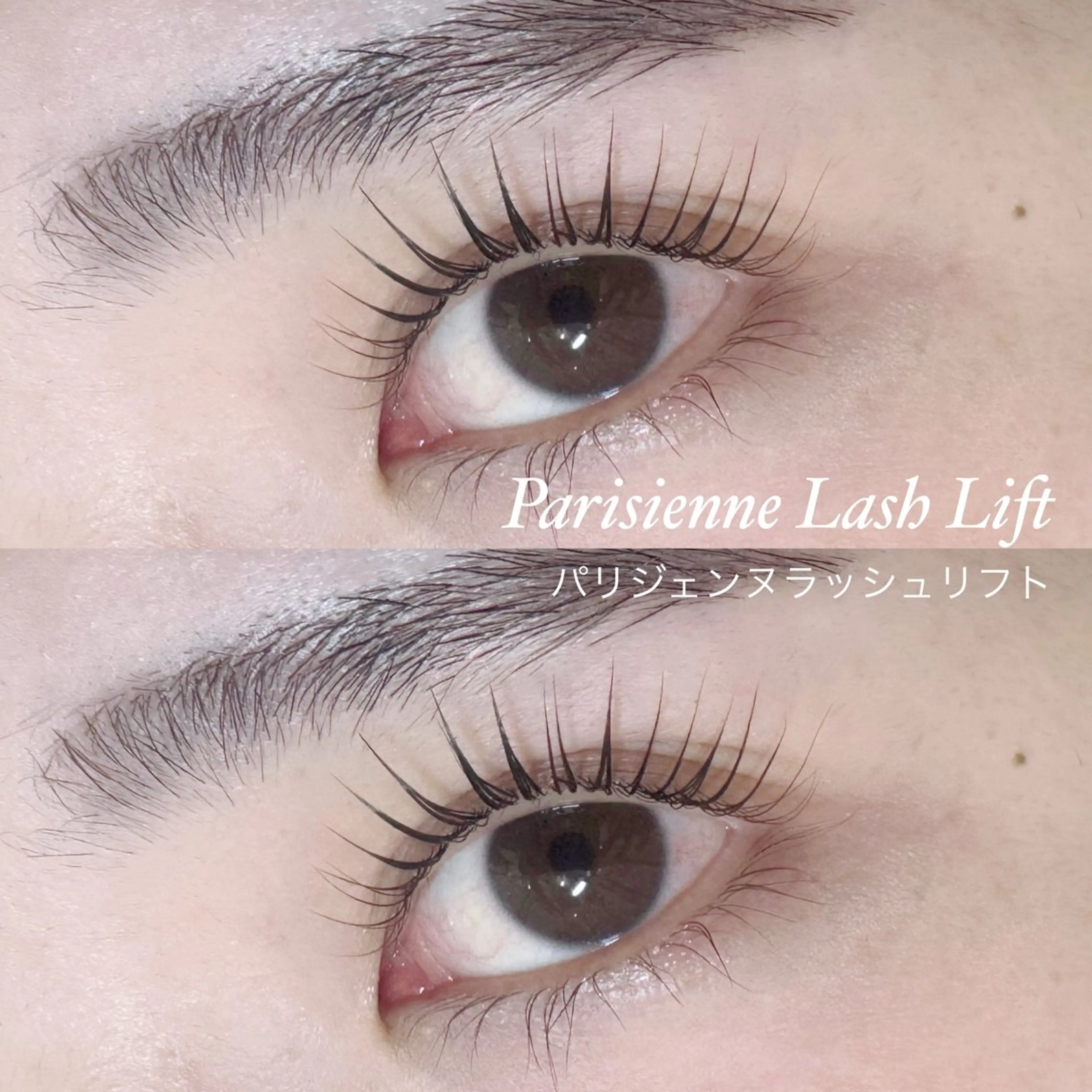🦋パリジェンヌ🦋根元から立ち上げてぱっちり目を大きく見せたい方にオススメ！の写真