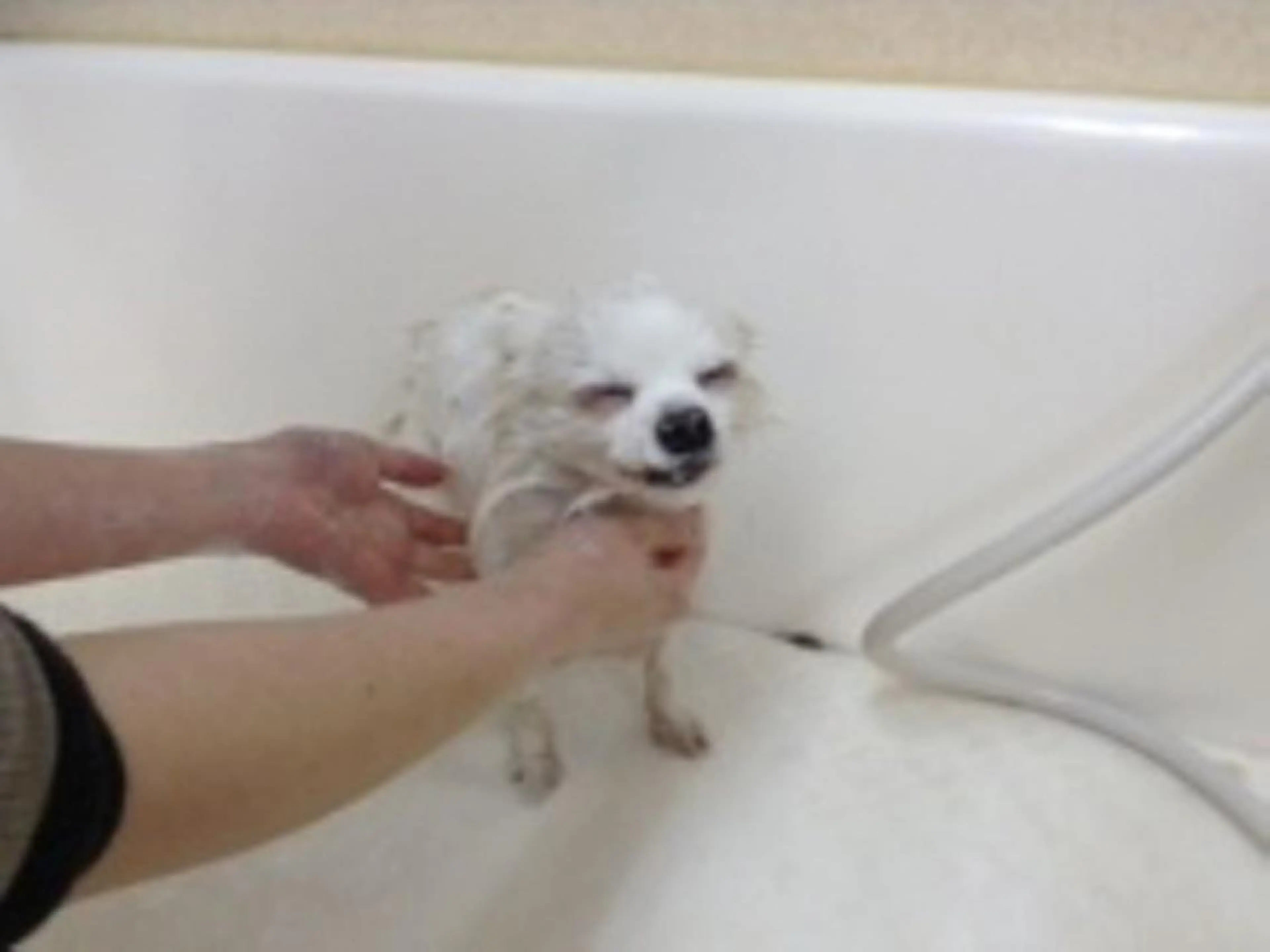 カラー マツエク・マツパ mayury salon 所属・mayury salonのエステ・リラクイメージ