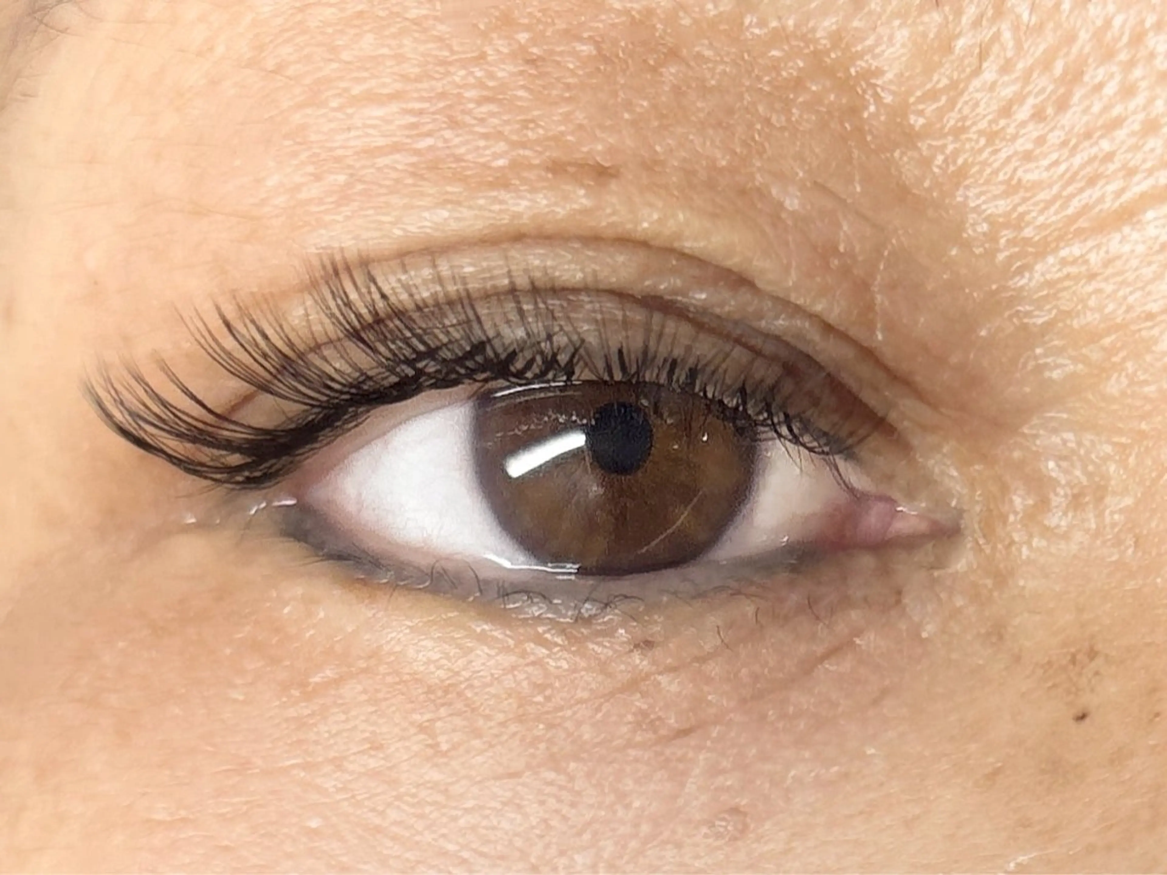 マツエク・マツパ Cカール ボリュームラッシュ 中村彩香 (エフドゥ)のマツエク・マツパデザイン