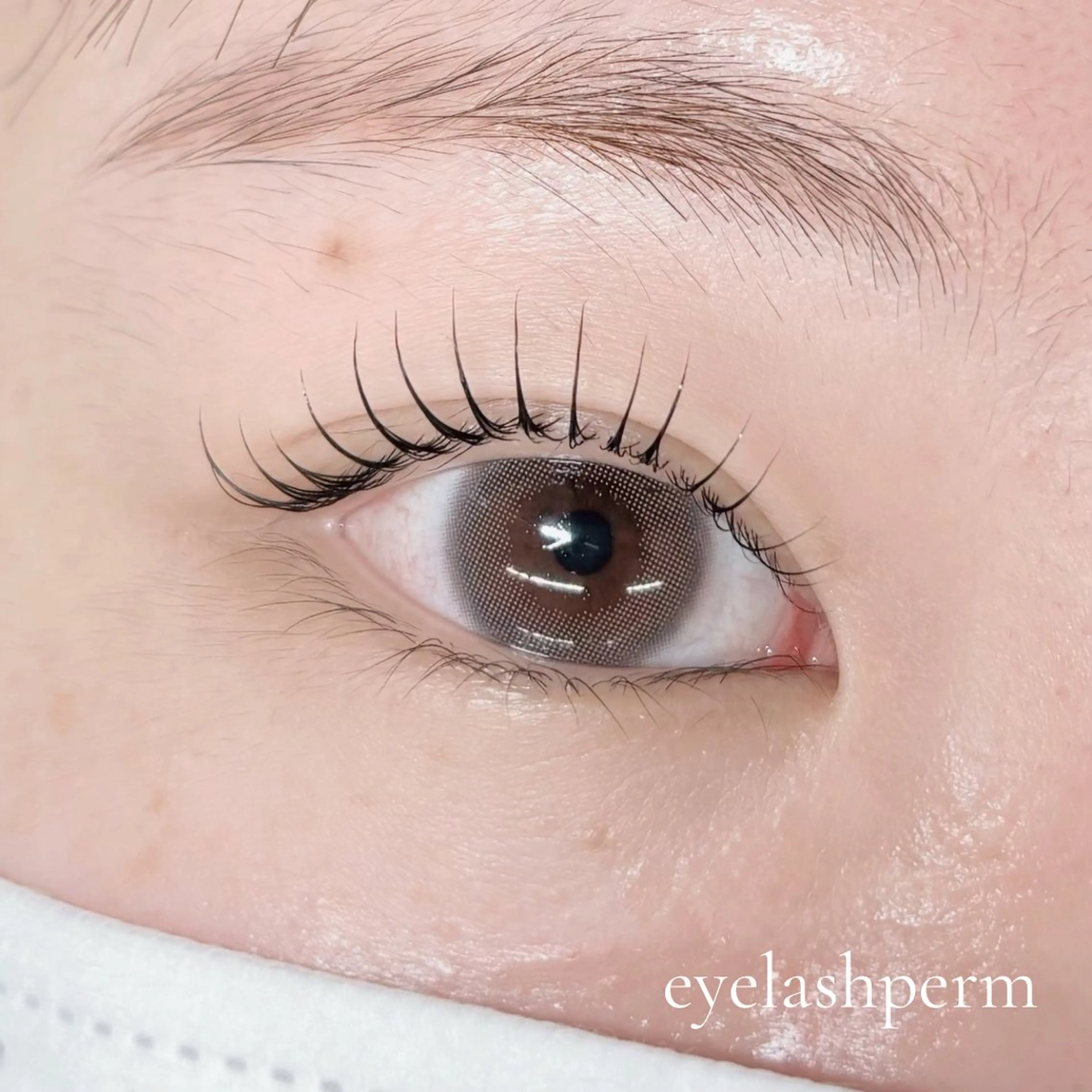 選べるまつ毛パーマ*.+ﾟTR付きの写真