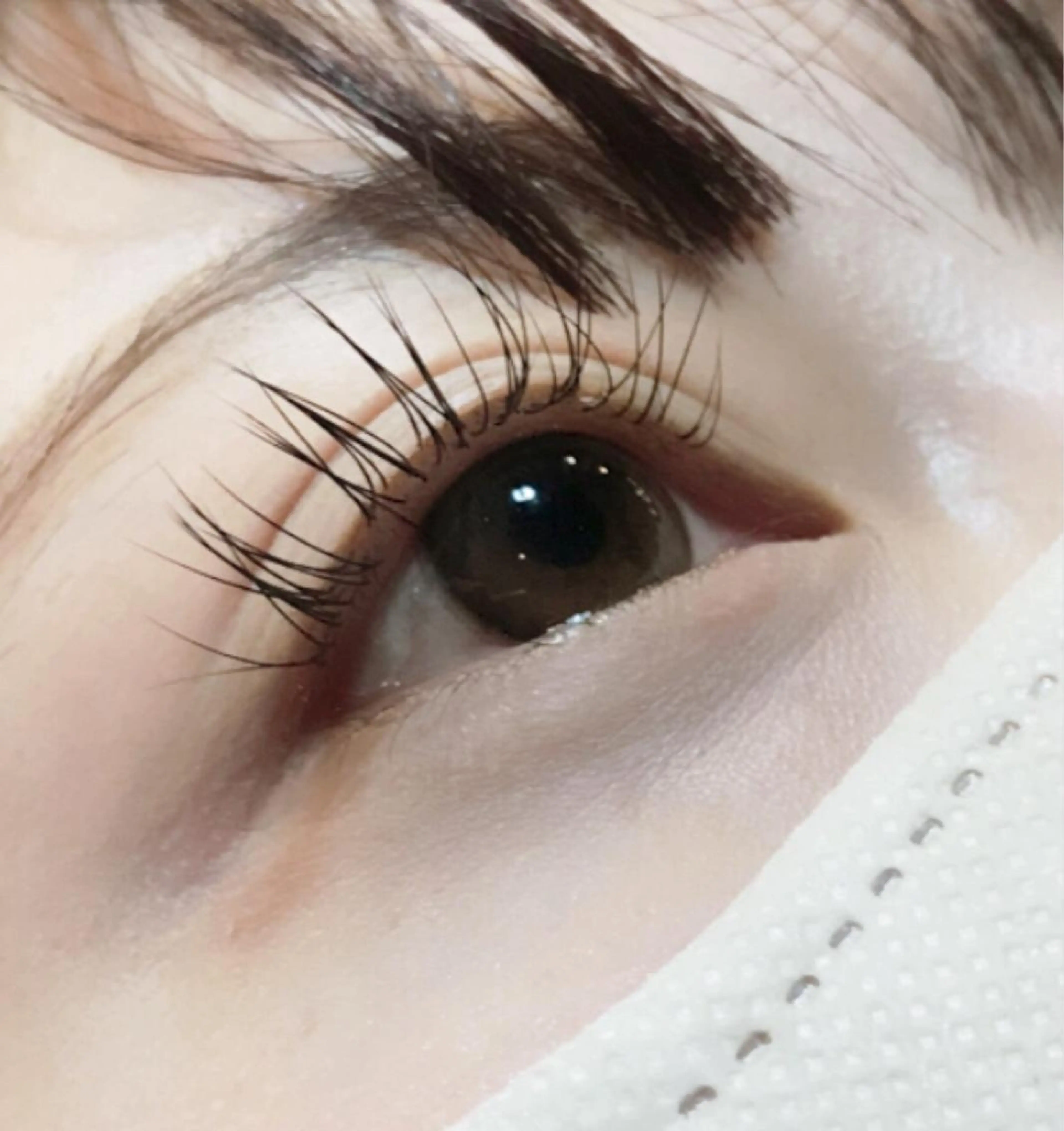 マツエク・マツパ 🦋きつない みゆ🦋のマツエク・マツパデザイン