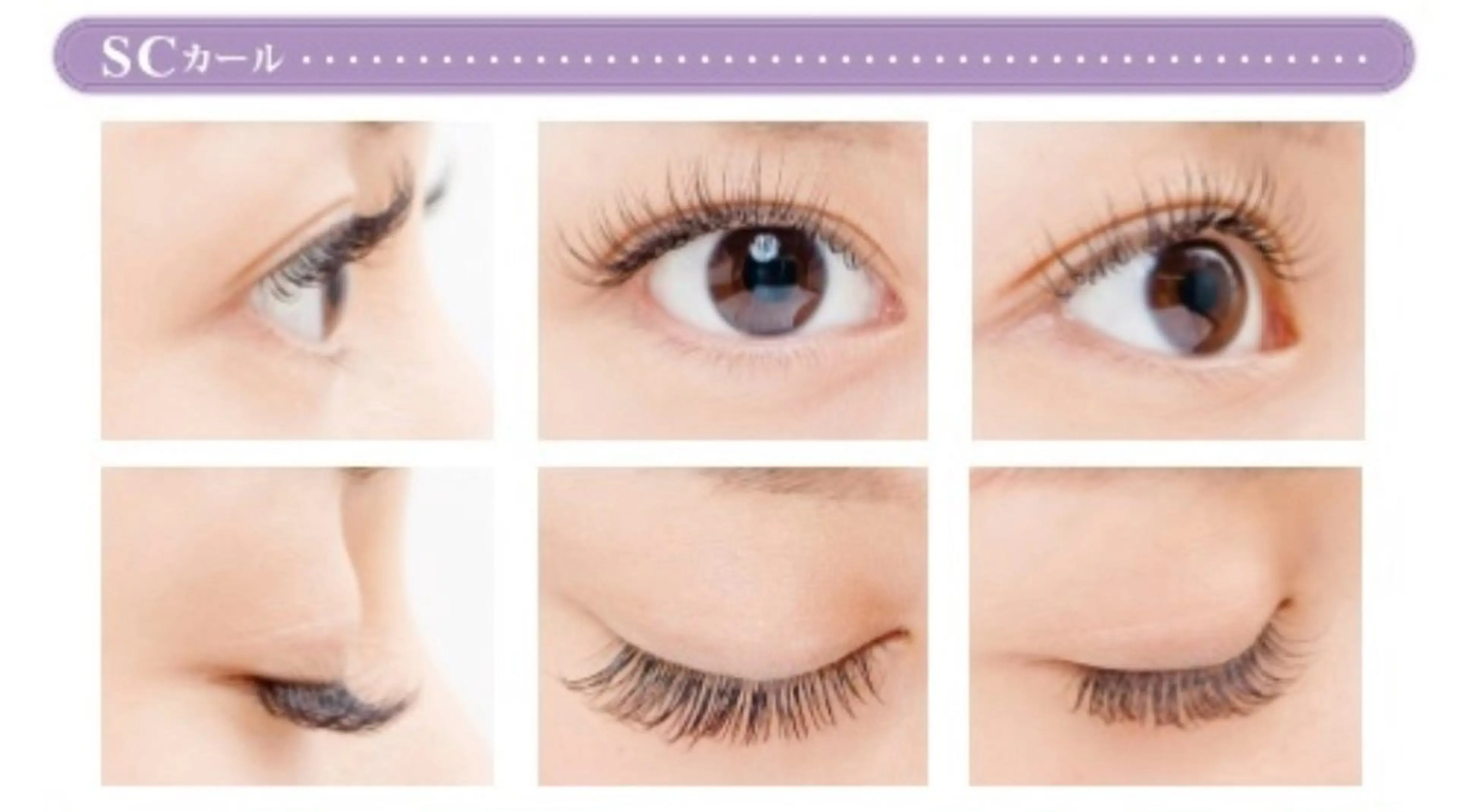 マツエク・マツパ Cカール Dカール アイデザイナー⟡.* hisaのマツエク・マツパデザイン