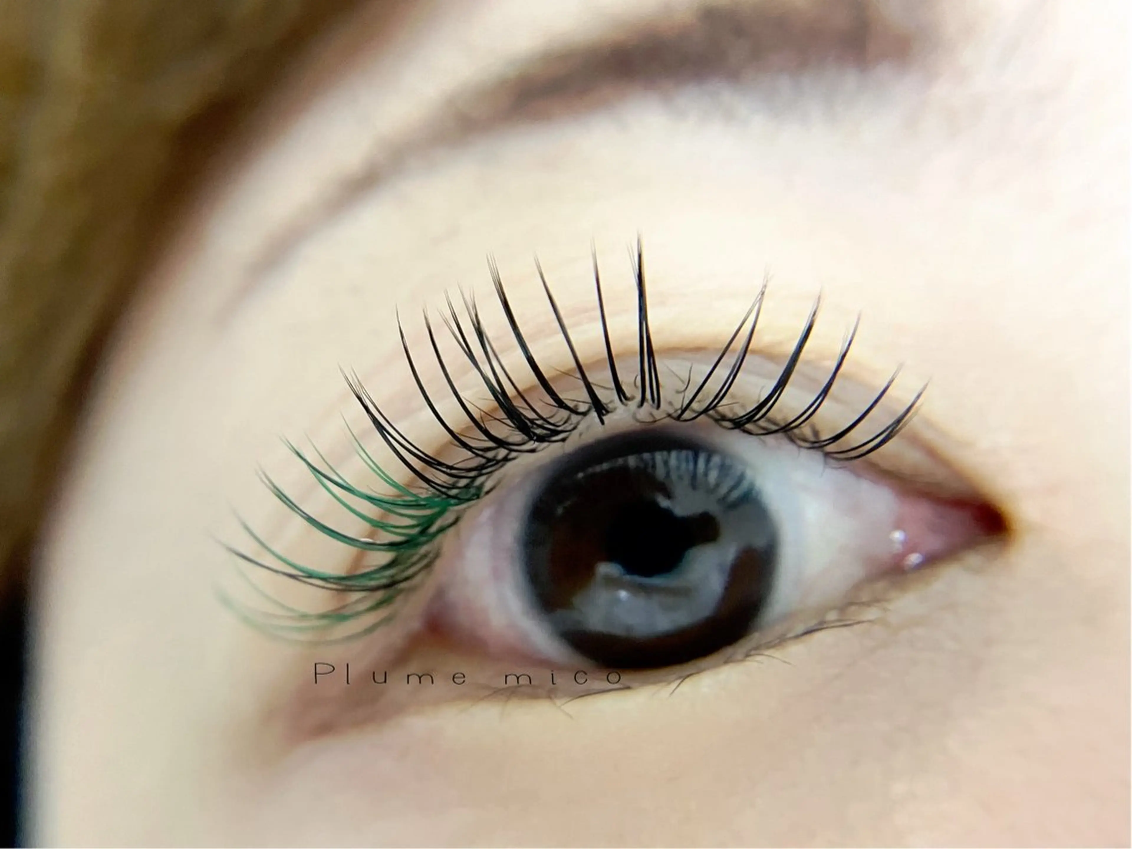 マツエク・マツパ マツエク Plume micoのマツエク・マツパデザイン