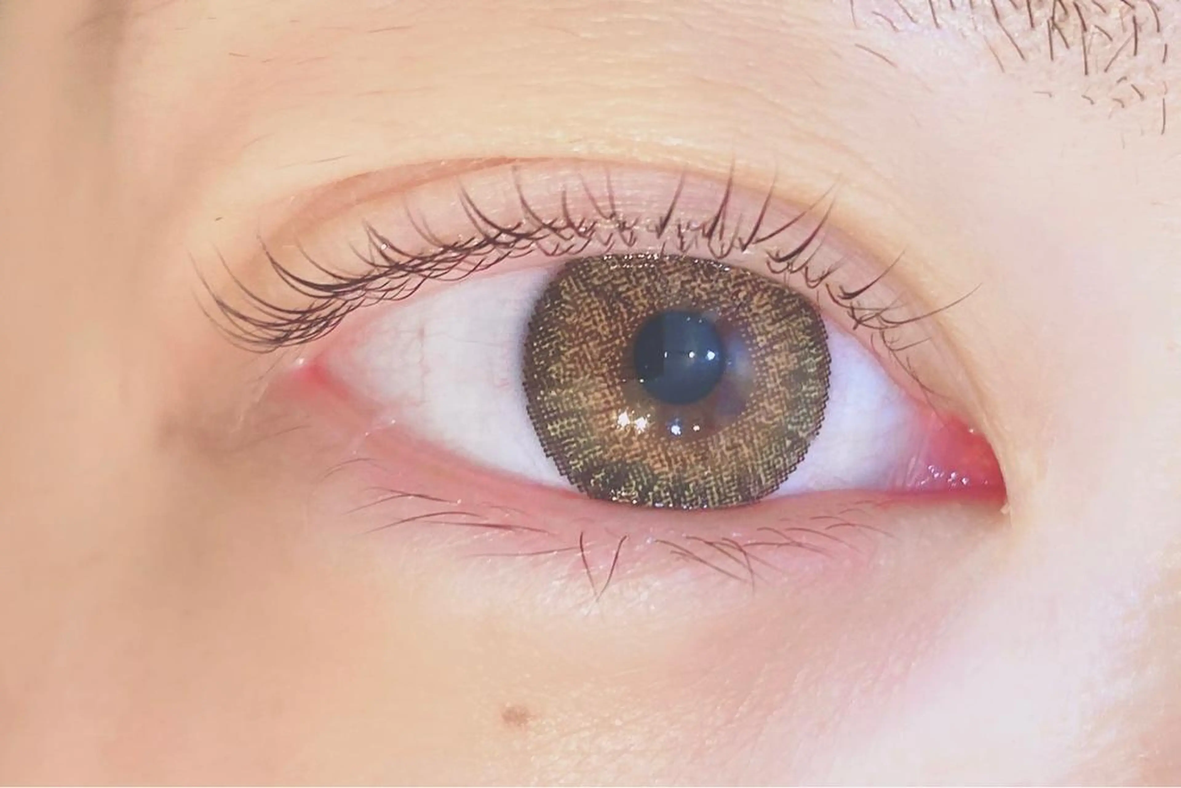 マツエク・マツパ 一重×まつ毛パーマ IVY所属・IVY salonの眉毛・アイブロウイメージ