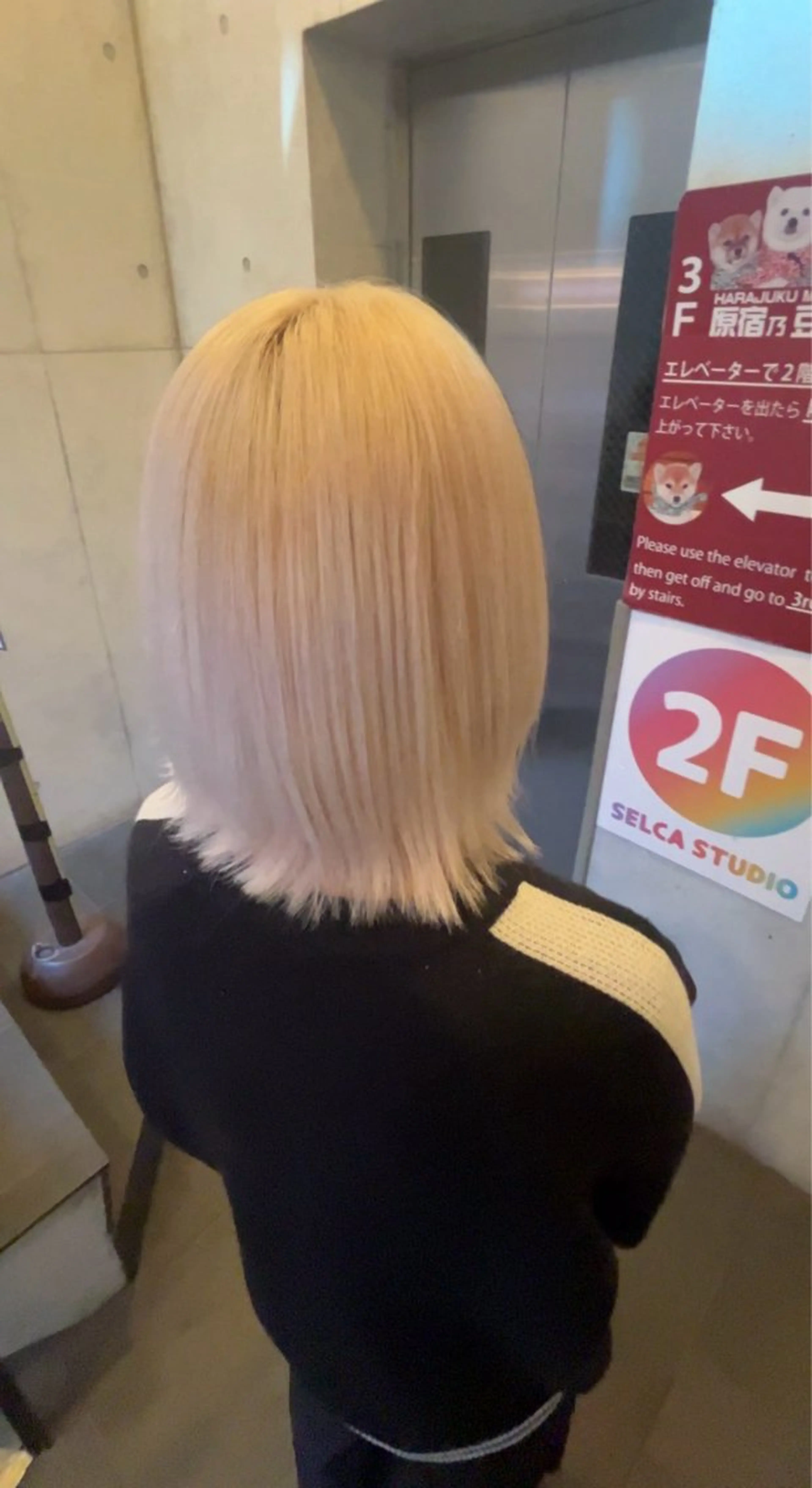 カラー 地雷系/サブカル/ ハイトーン/がーたんのヘアスタイル