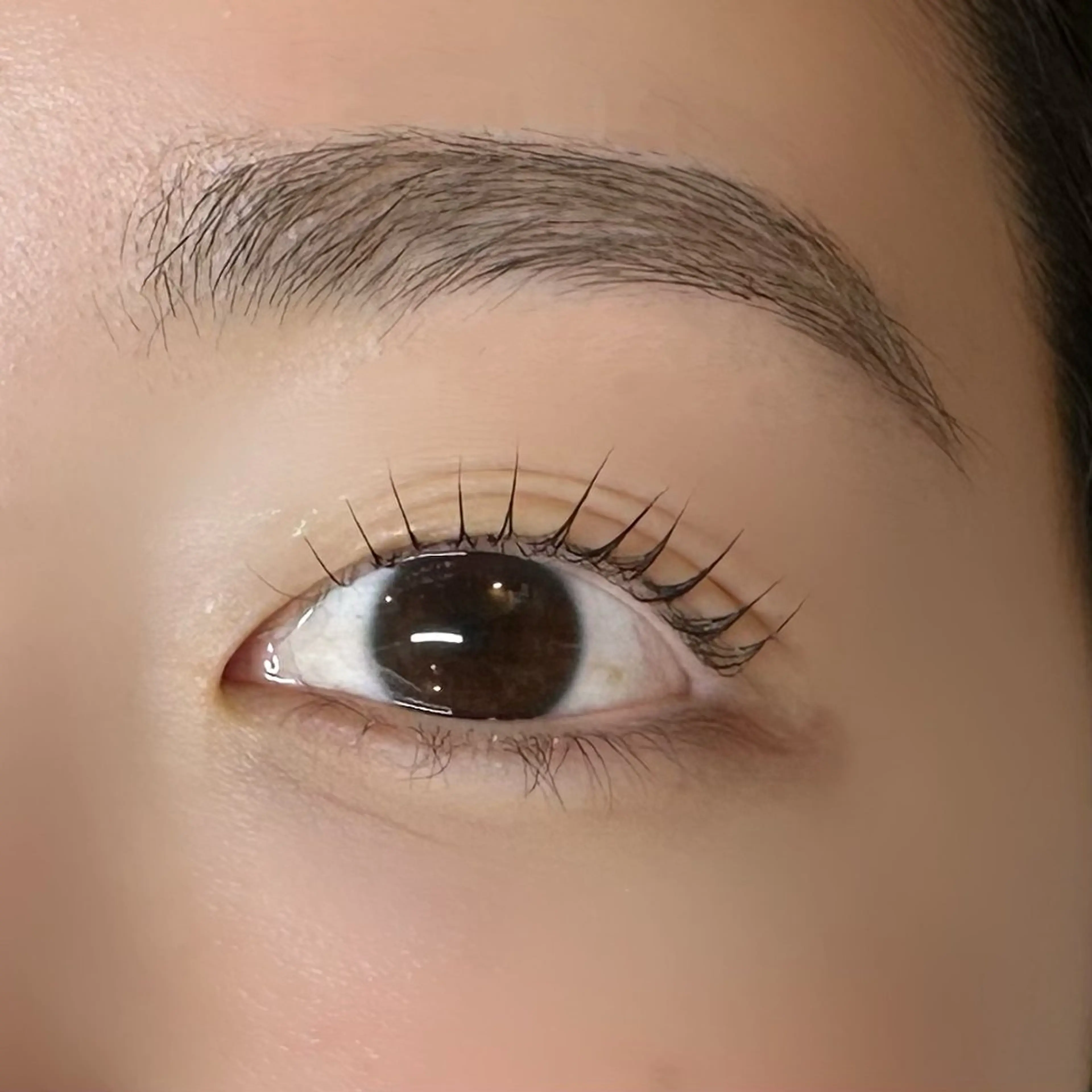 マツエク・マツパ マツパ 💠AYANE /吉祥寺💠のマツエク・マツパデザイン