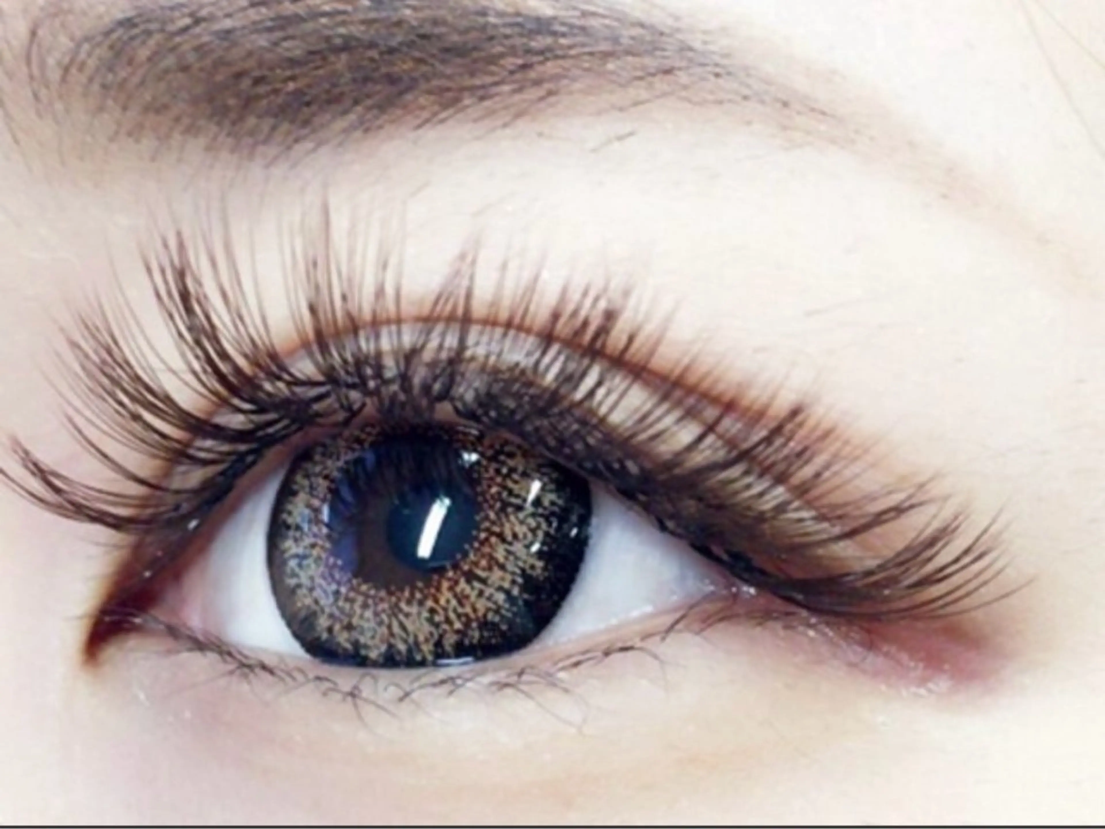 当日限定🎀3Dライト80束🎀(オフなし)の写真