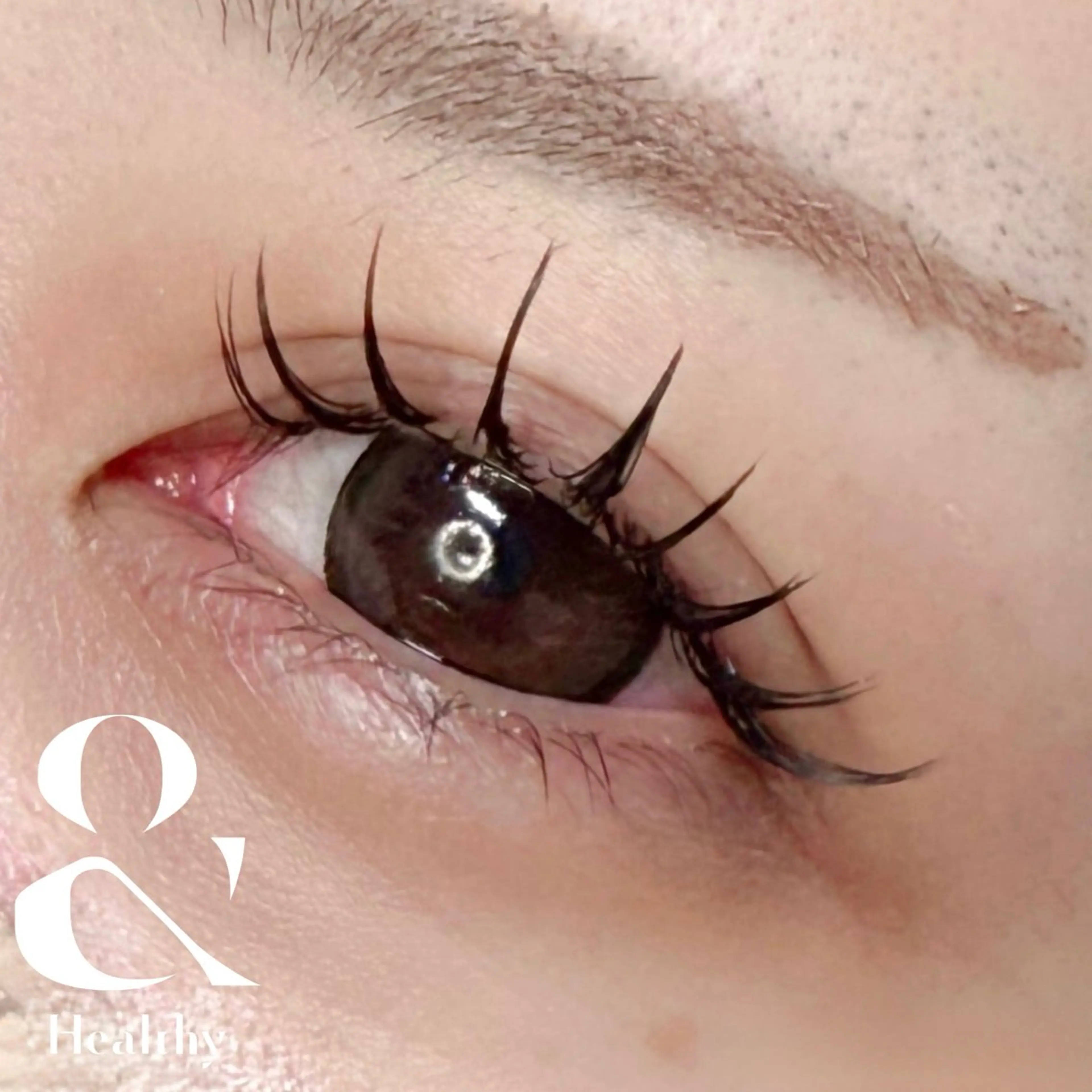 【平日限定】(12/26​〜​12/29利用不可)&healthy 撮影モデル★アンドヘルシー×フラット120本　オフ代別途の写真