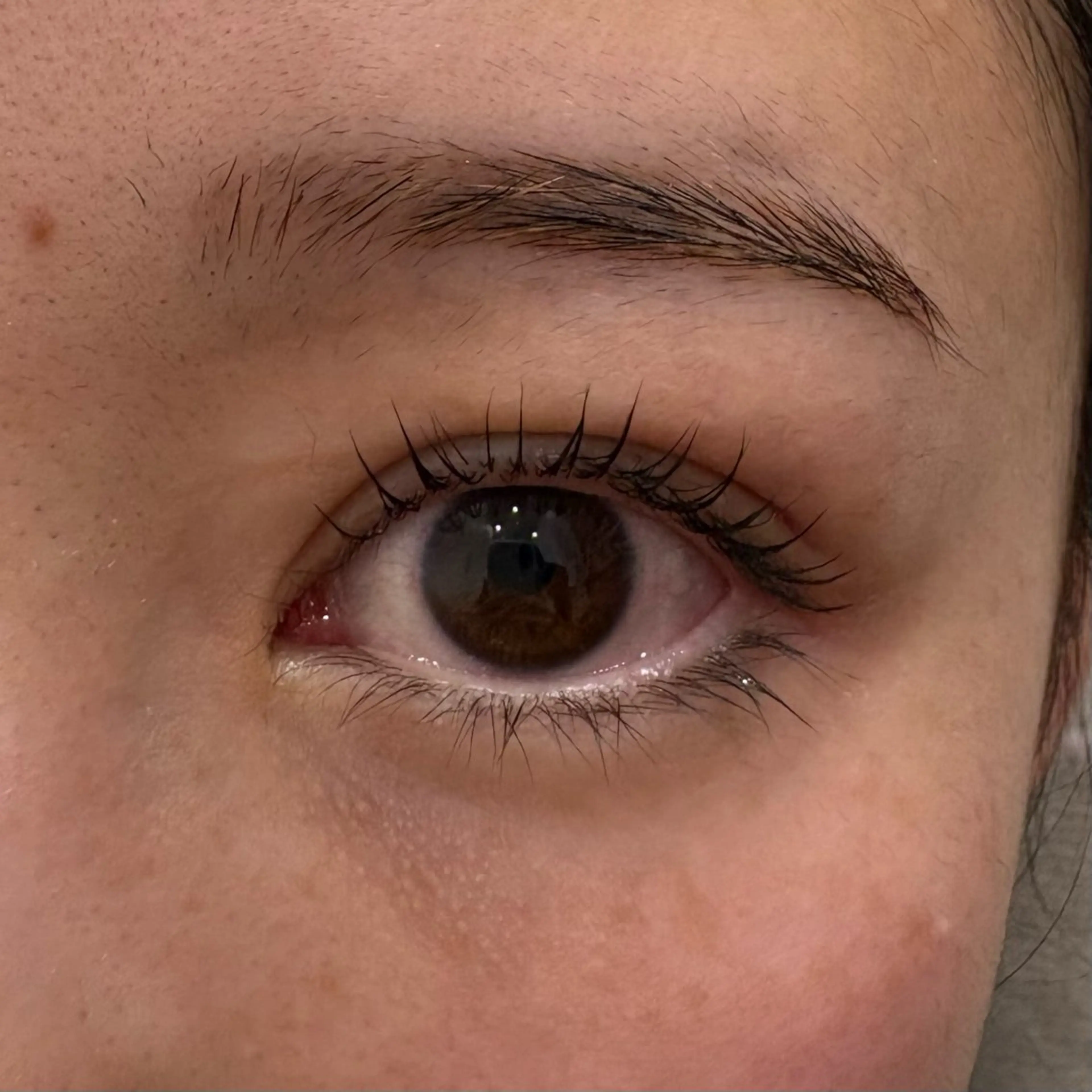 マツエク・マツパ パリジェンヌラッシュリフト 🤍 miriaのマツエク・マツパデザイン