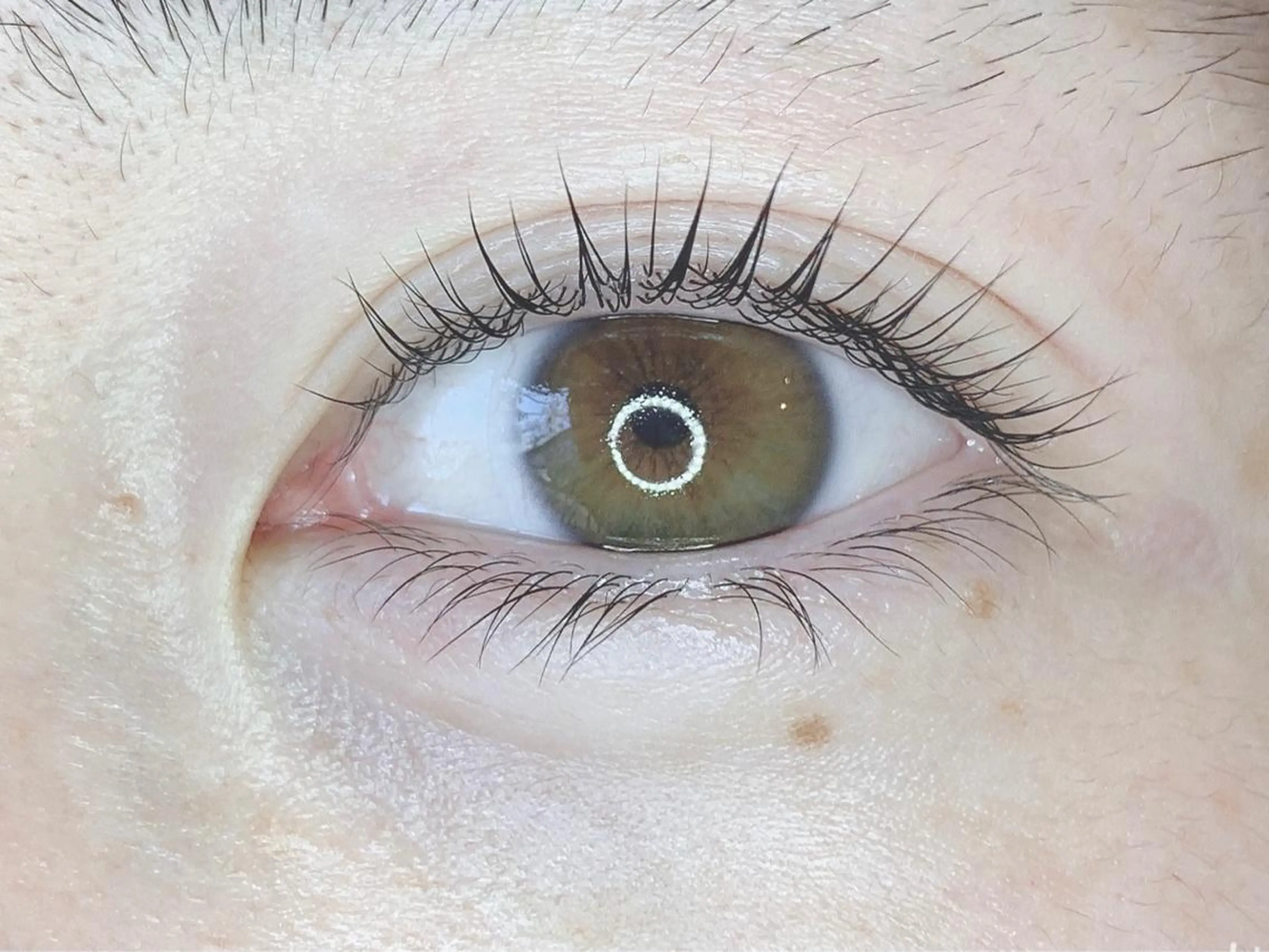 マツエク・マツパ ReBellaリベラ ハセベのマツエク・マツパデザイン