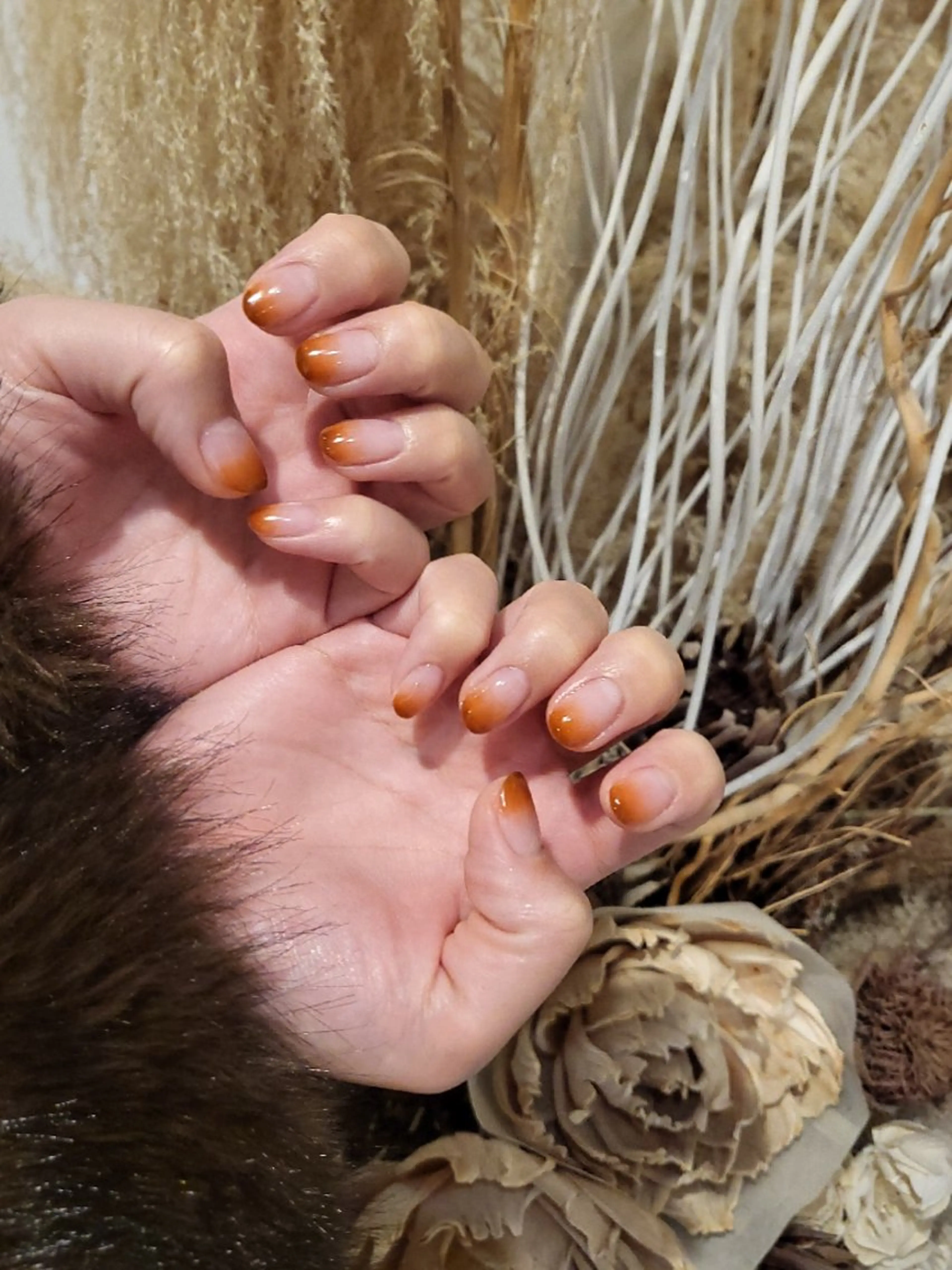 オフありカラグラの写真