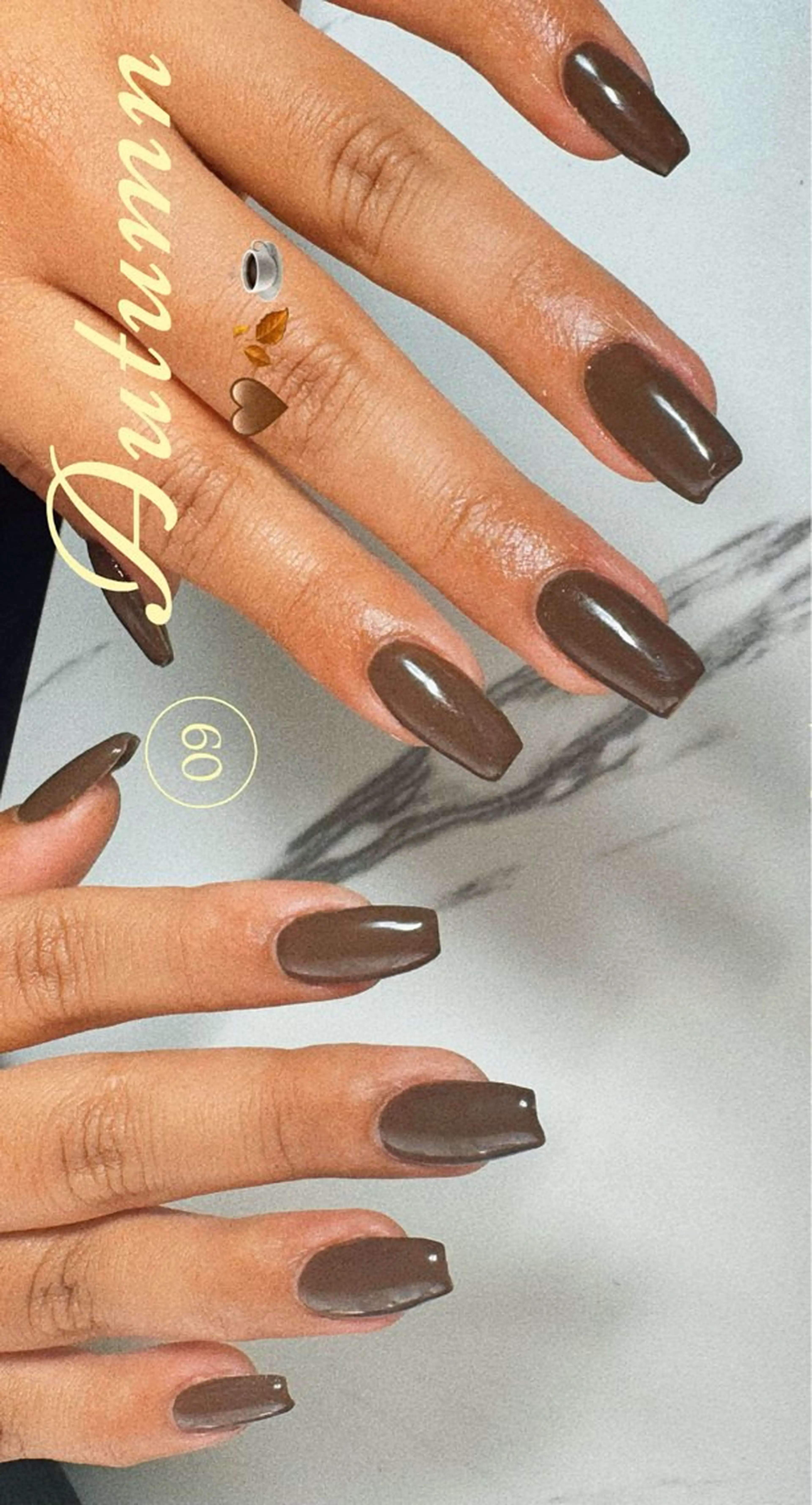 ワンカラー　　オフ別途¥500の写真