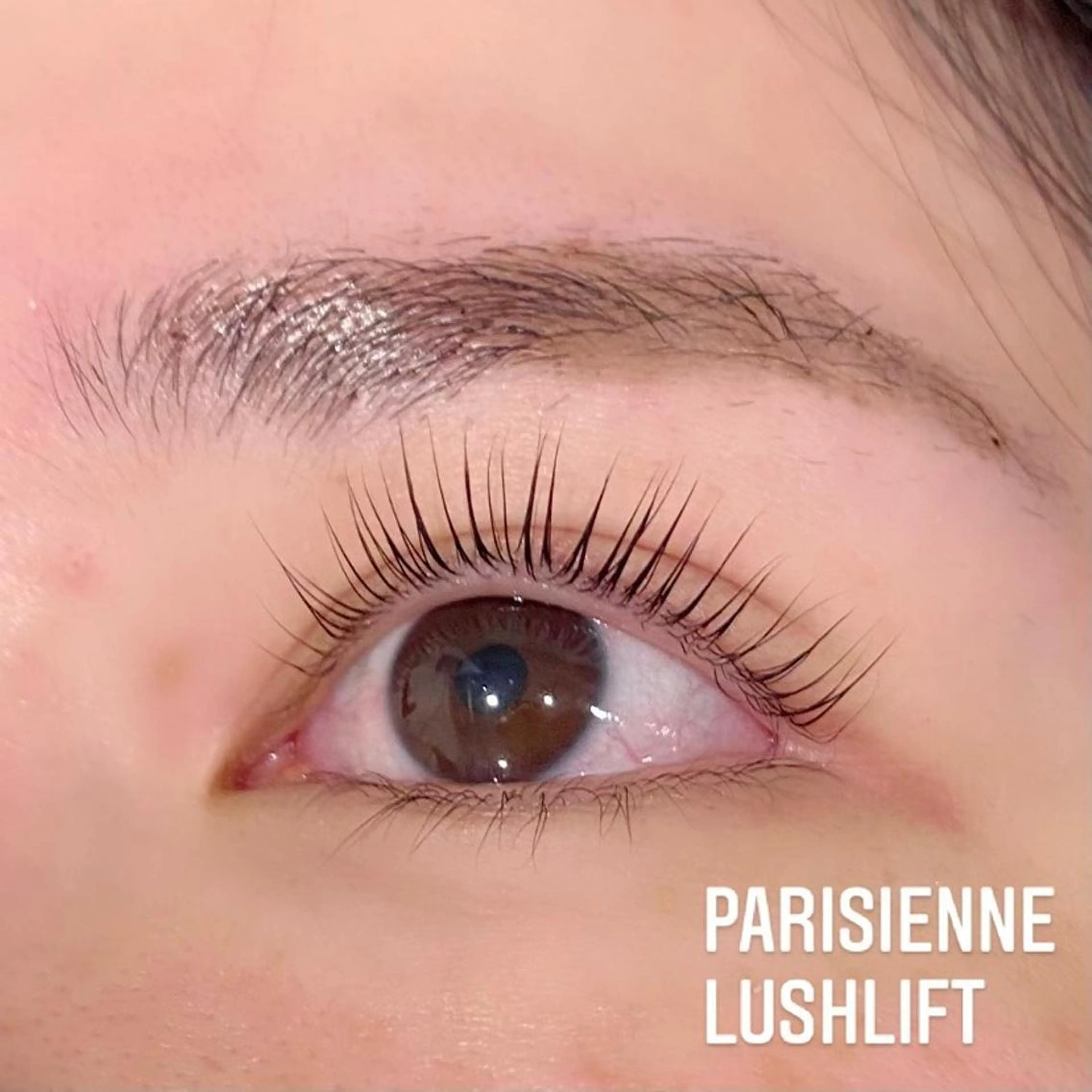 ネイル マツエク・マツパ カラーマツエク パリジェンヌラッシュリフト ブラウン 長さ出し Cat's eye TOKYO 新宿店のネイルデザイン