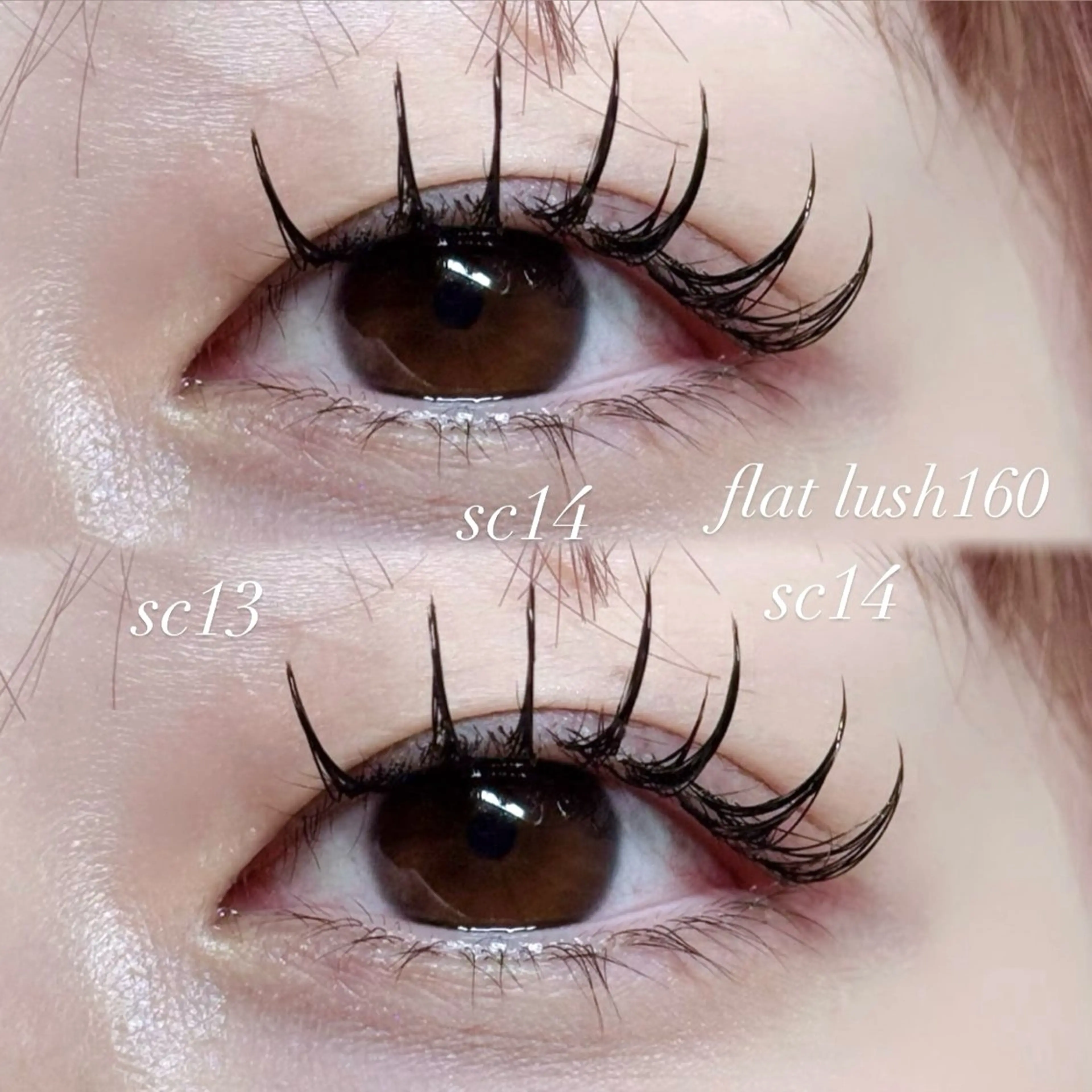 マツエク・マツパ マツエク ayaha ⌇angelicaのマツエク・マツパデザイン