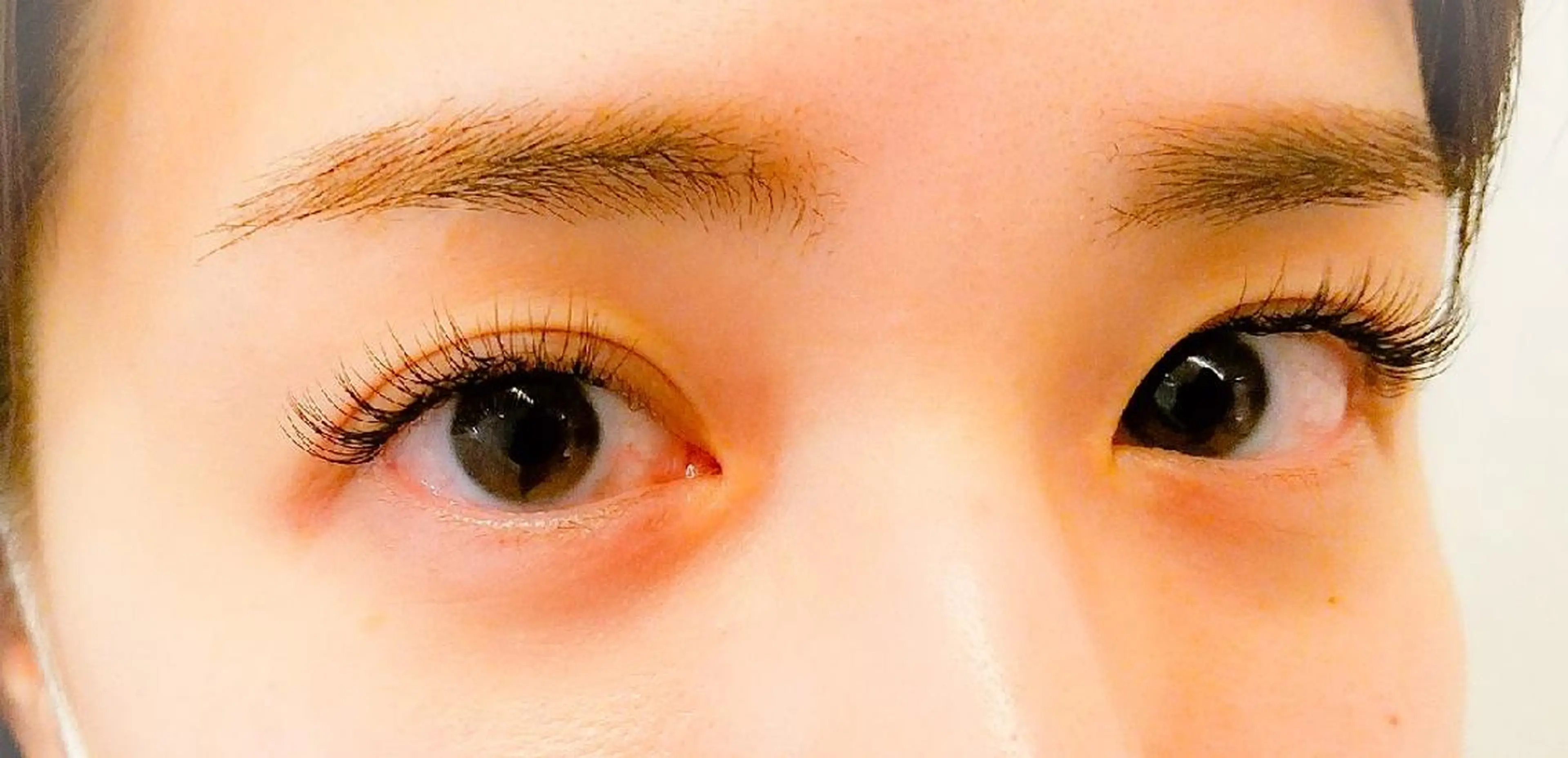 マツエク・マツパ アップワードラッシュ アイラッシュ コペル【Copel】所属・個室サロンcopel 　kishimotoのマツエク・マツパデザイン