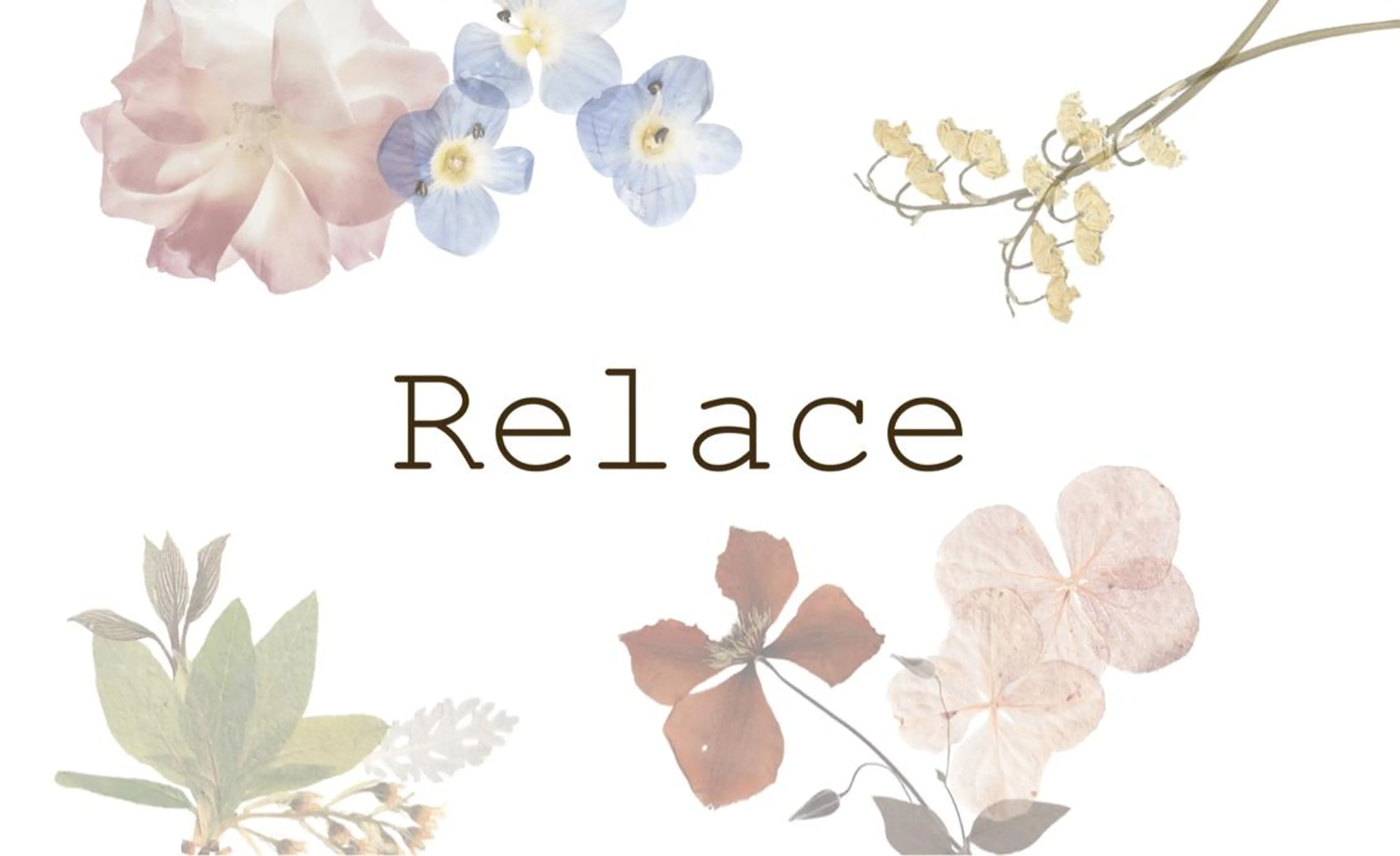 💆🏼‍♀️超極上・プレミアムトリートメントスパ💆🏼‍♀️ミニモ限定ブローAll代半額！ブロー3300→1650円の写真