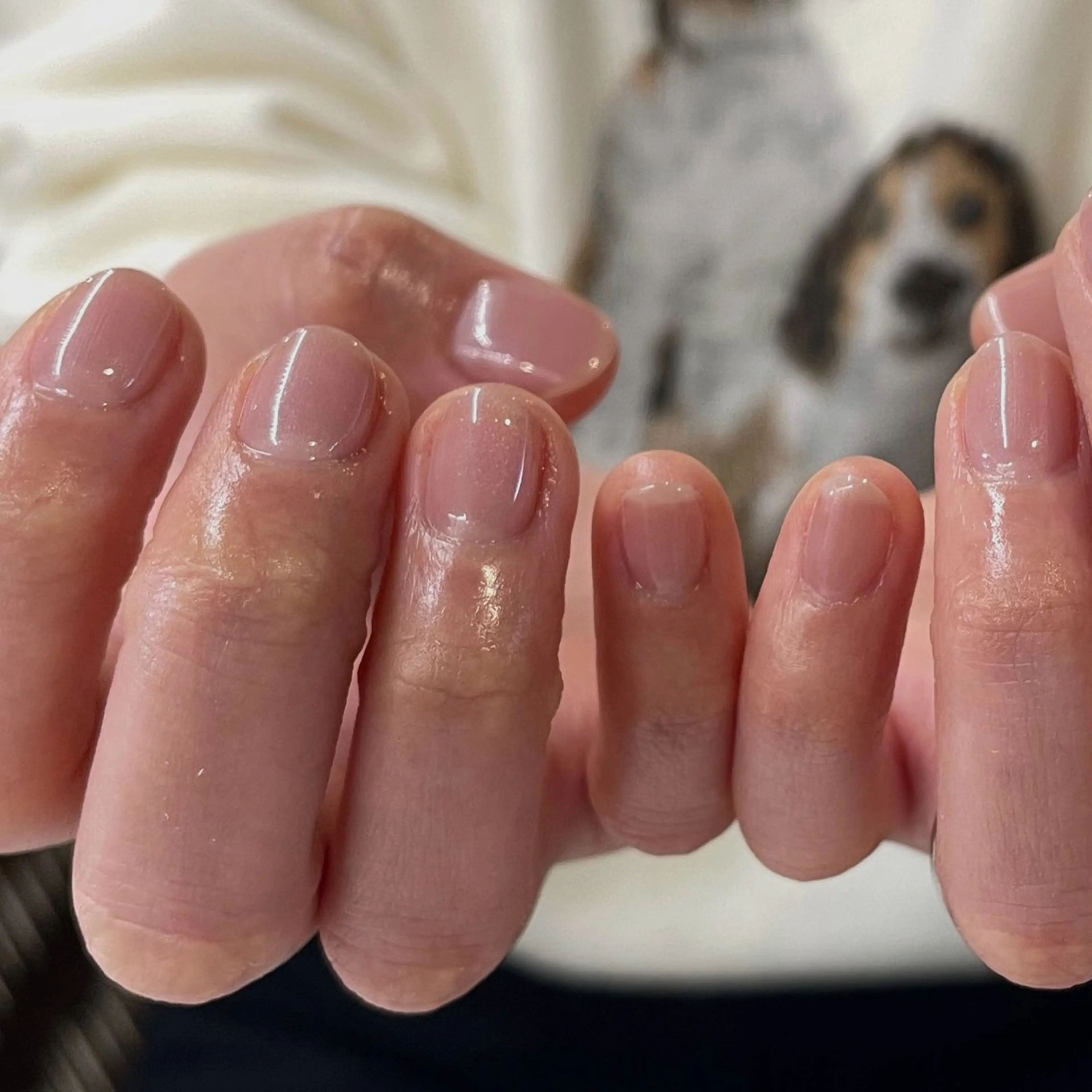 ネイル ジェルネイル ワンカラーネイル ハンドネイル ému所属・〈ému〉 misatoのネイルデザイン