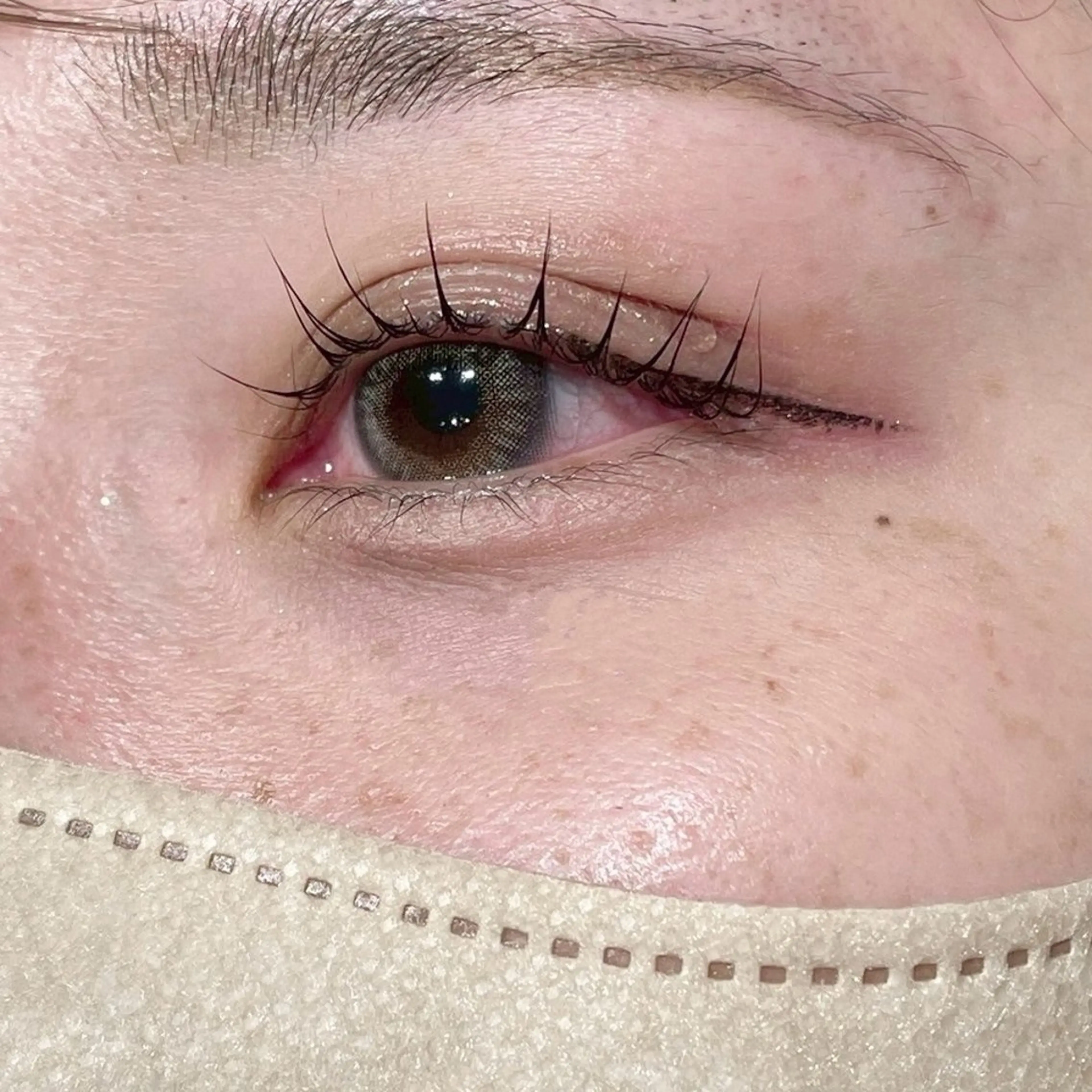 【マツパ人気NO.1】🎀🤍まつ毛パーマ+アイシャンプー(コーティング込み)  ✴︎補足説明必読✴︎の写真