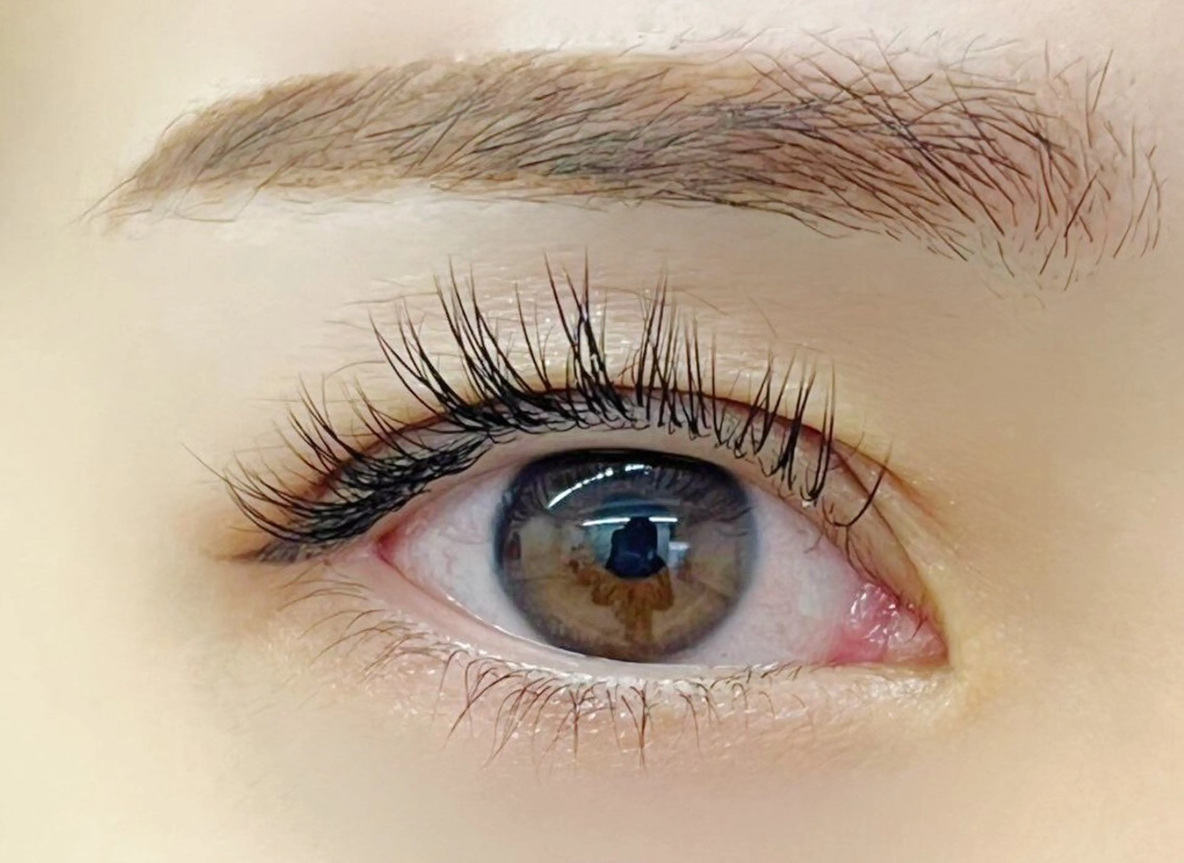 マツエク・マツパ マツエク 束感/ナチュラル/ mikuのマツエク・マツパデザイン