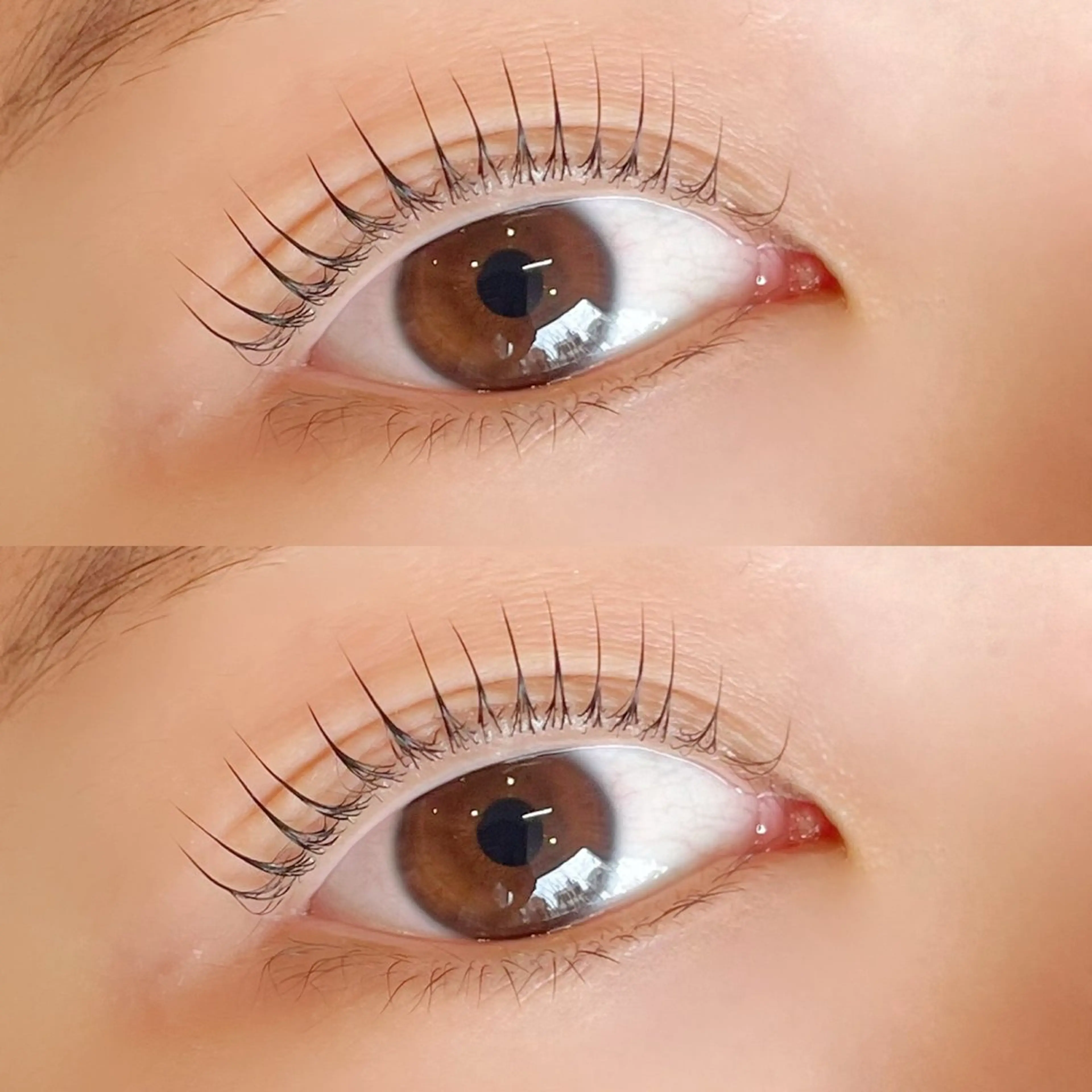 マツエク・マツパ sofa 🛋⸝⸝ urushibaraのマツエク・マツパデザイン