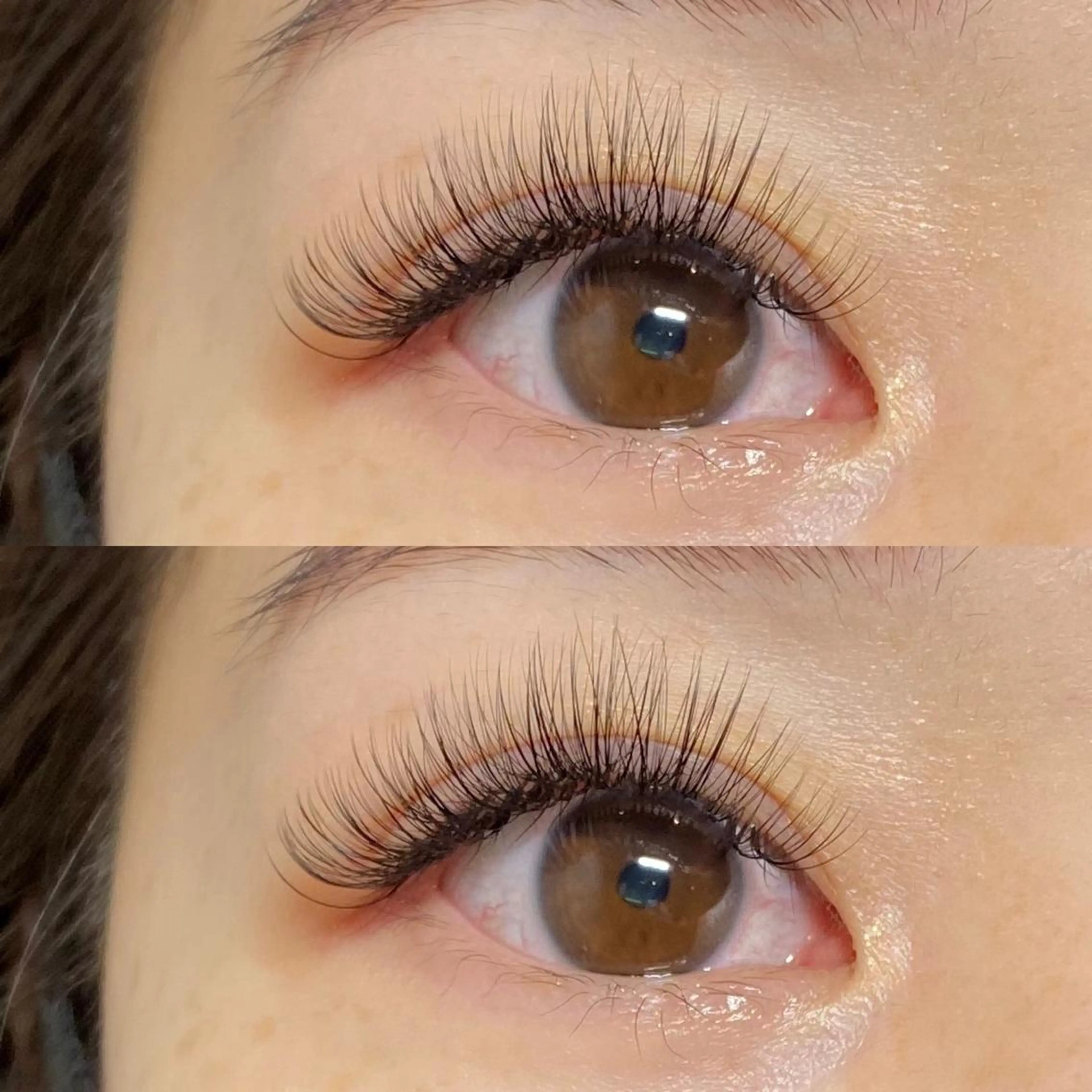 🐶【 ミニモ限定価格❕】ボリュームラッシュ 600本 ( 120束 )🐶の写真