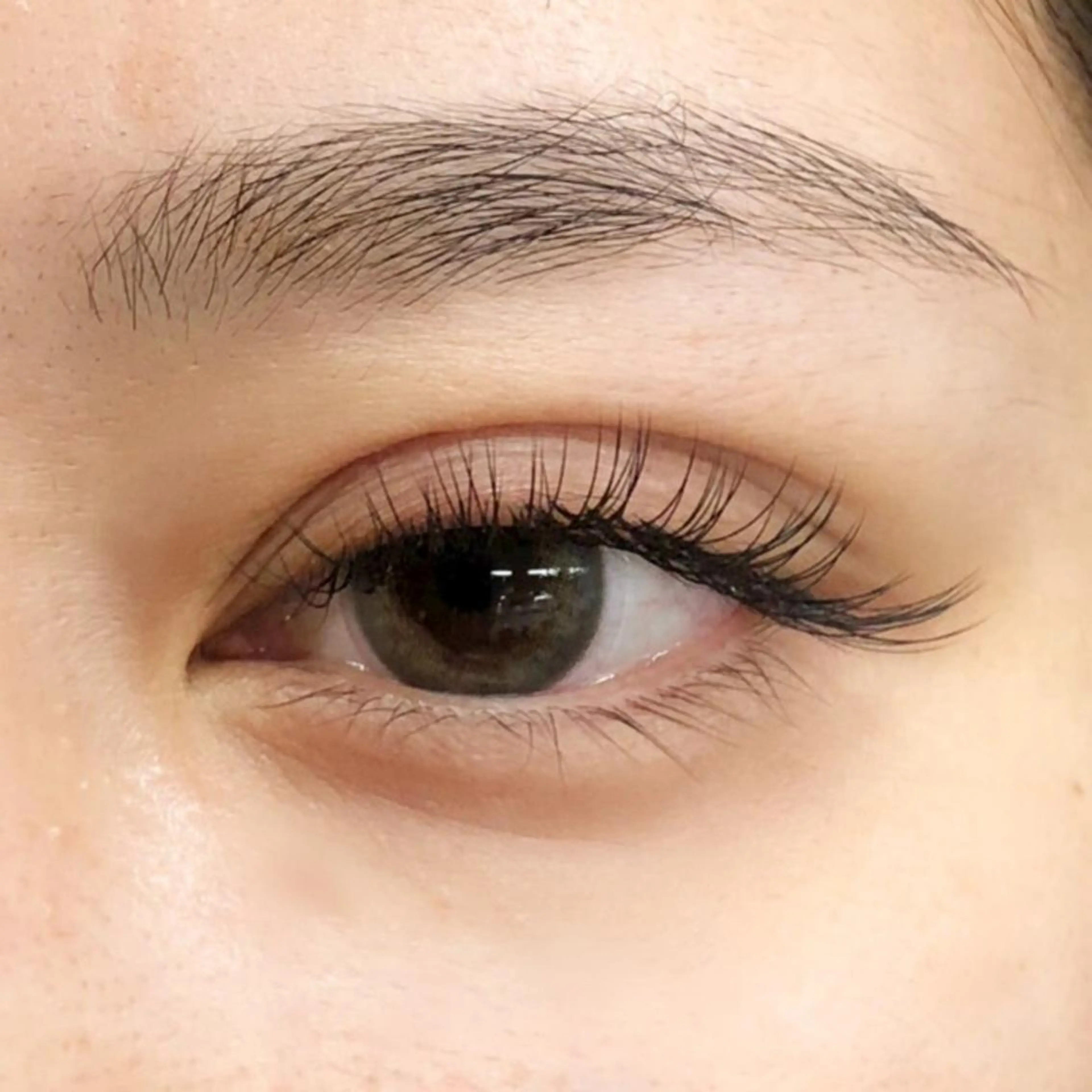 最高級セーブルエクステ140本(オフ込)￥5000の写真