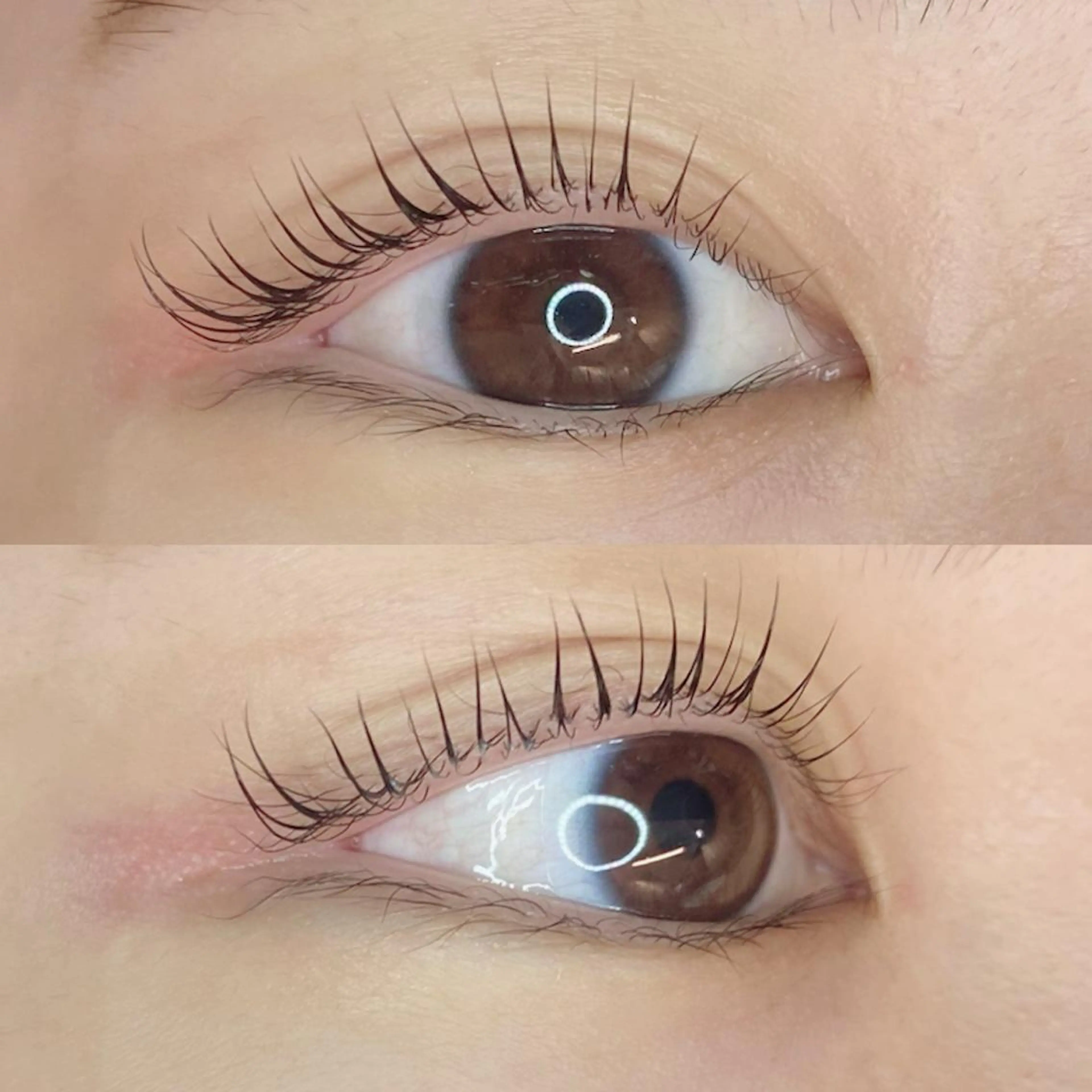 マツエク・マツパ Favori 川上のマツエク・マツパデザイン