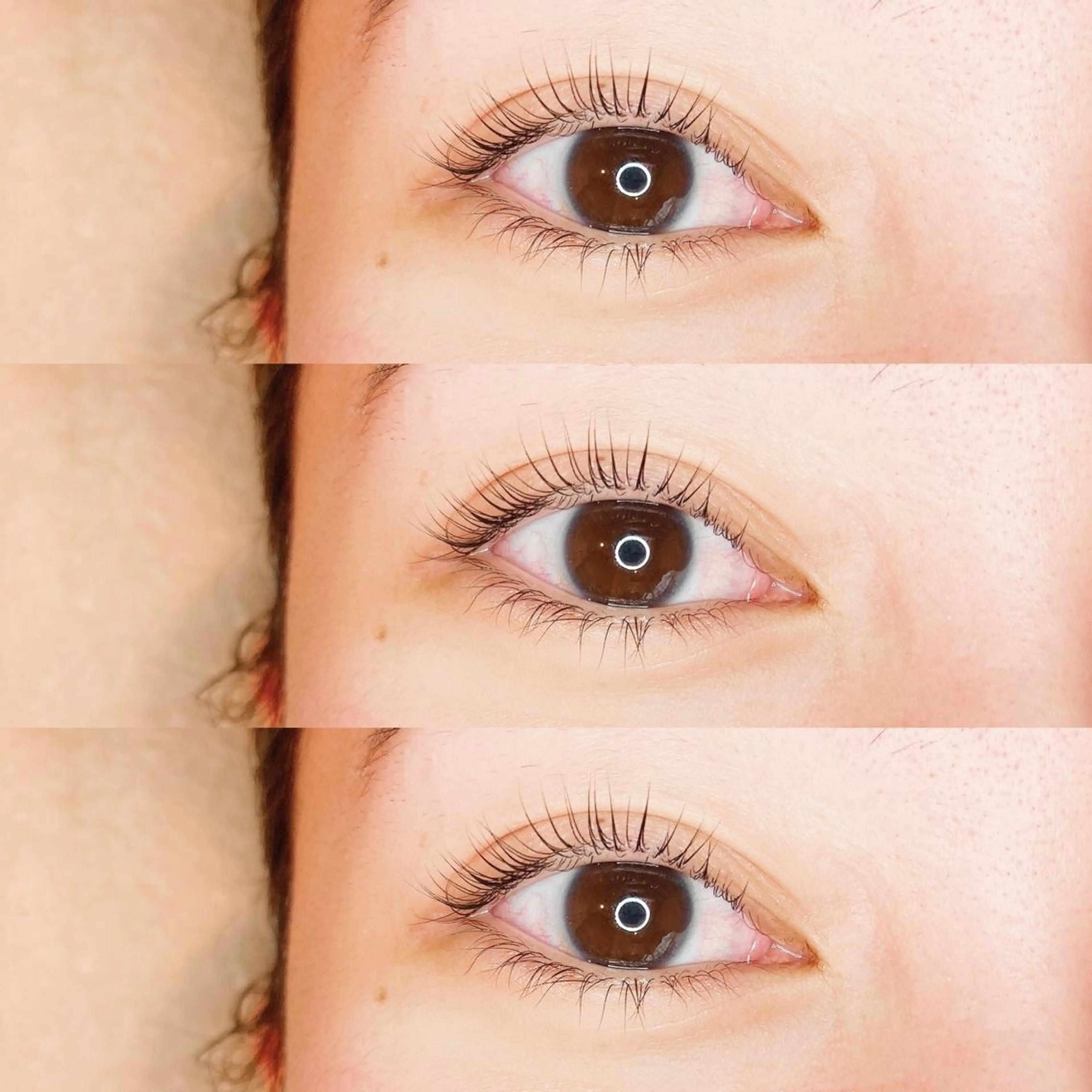 マツエク・マツパ パリジェンヌラッシュリフト リリバイシエル 長谷川の眉毛・アイブロウイメージ