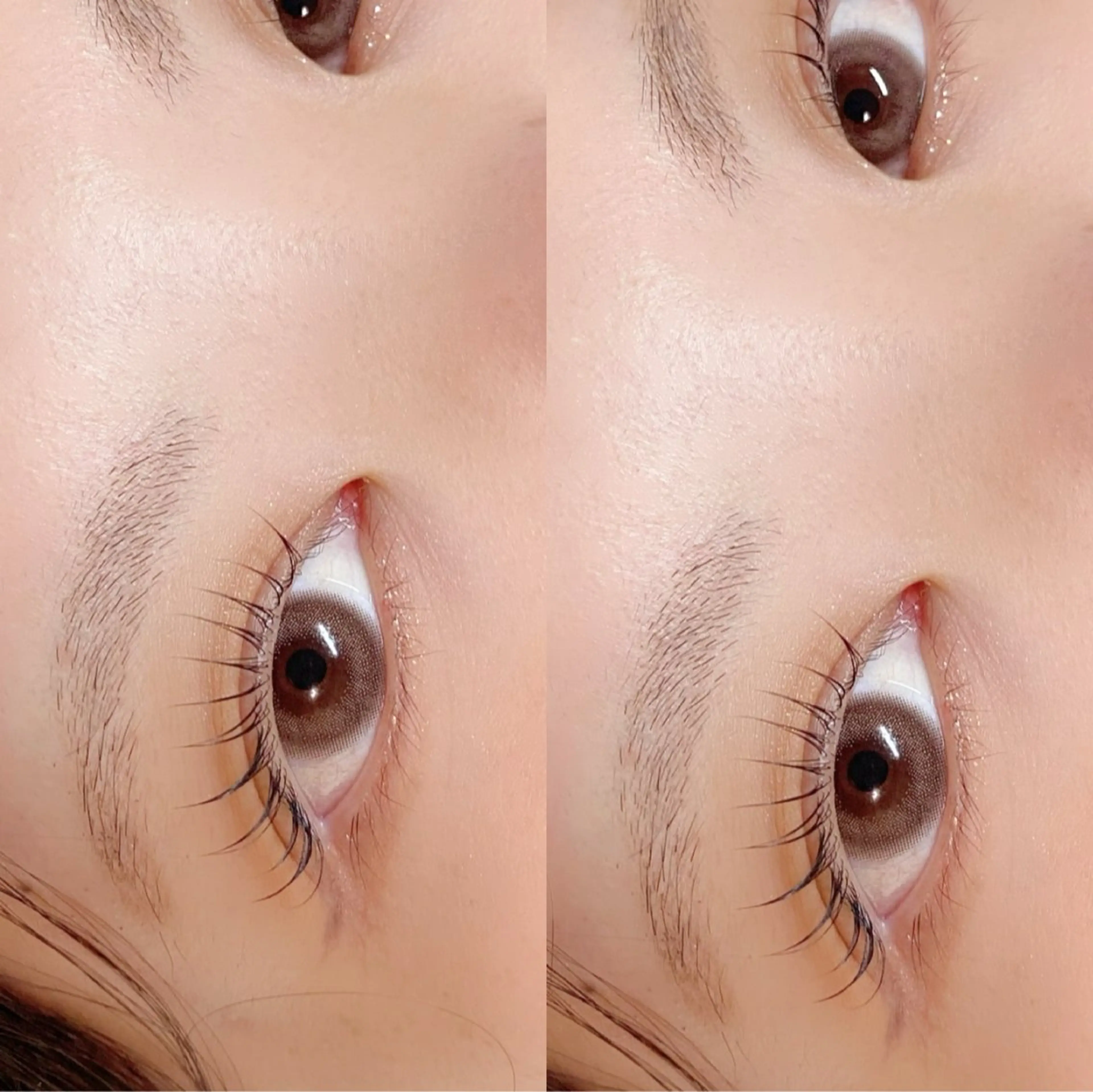 マツエク・マツパ yume   eyelash所属・yumeka 【eyelash】のマツエク・マツパデザイン