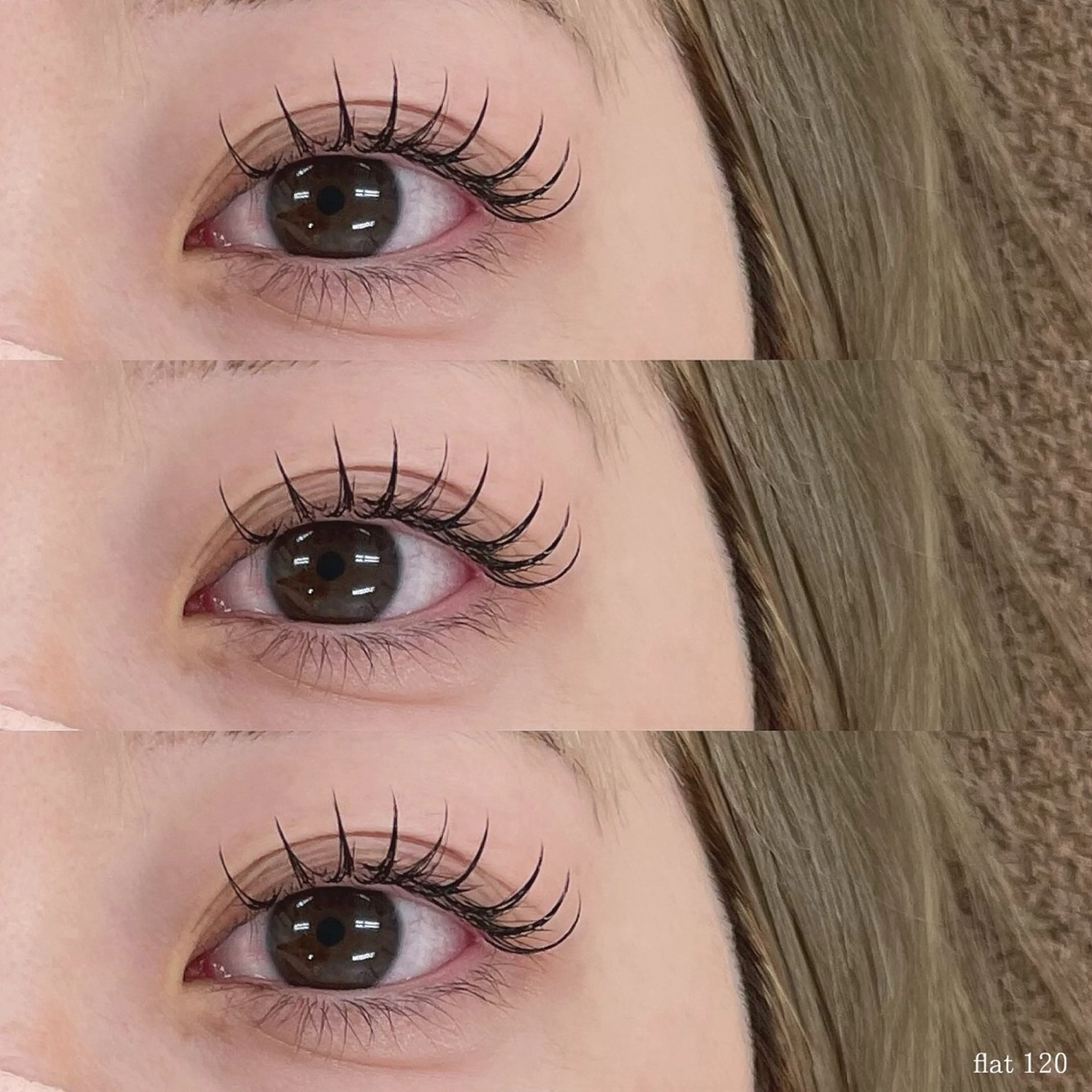 フラットラッシュ 120本の写真