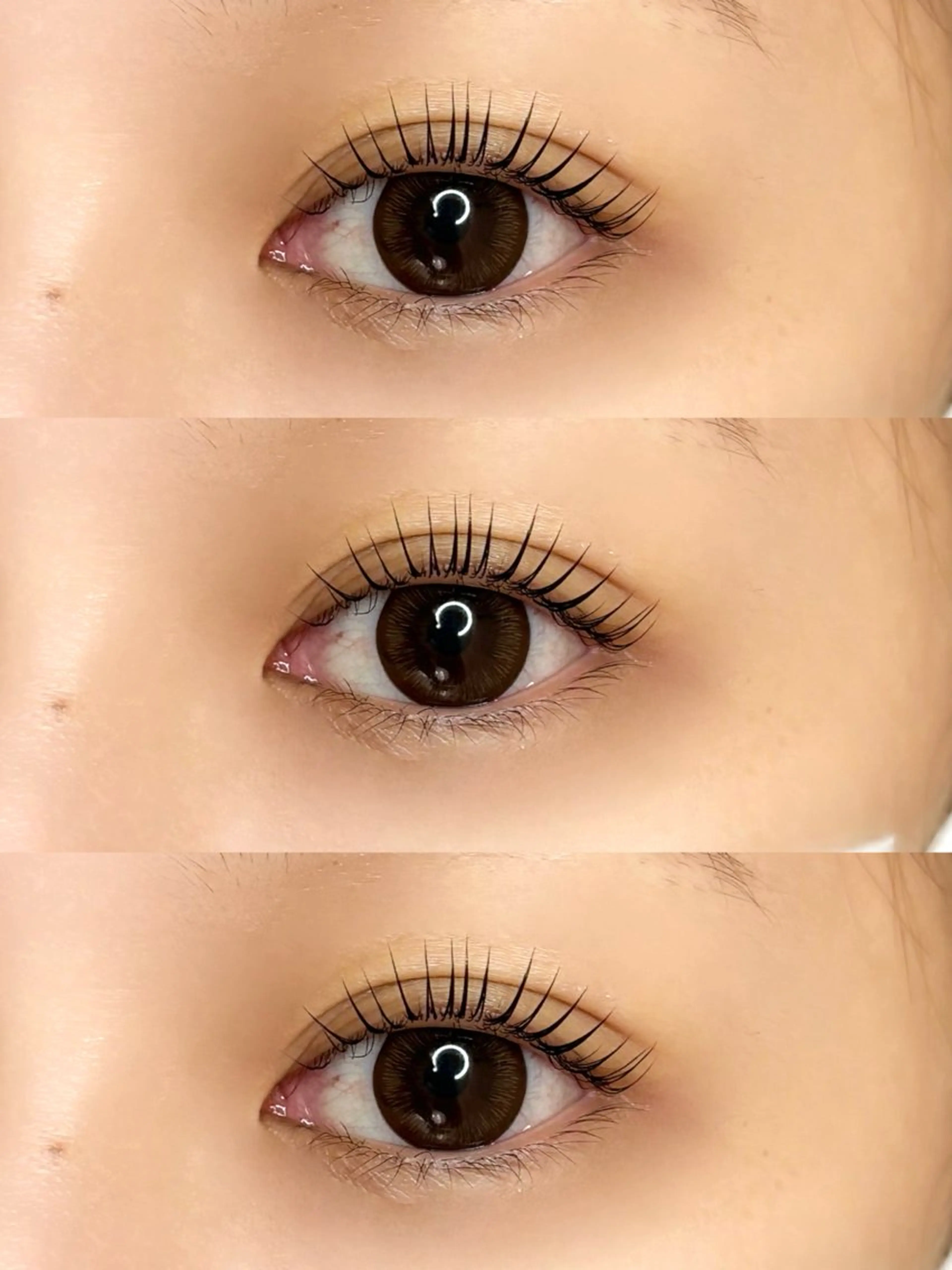 【2回目以降】パリジェンヌラッシュリフト🫧（トリートメント付き）の写真