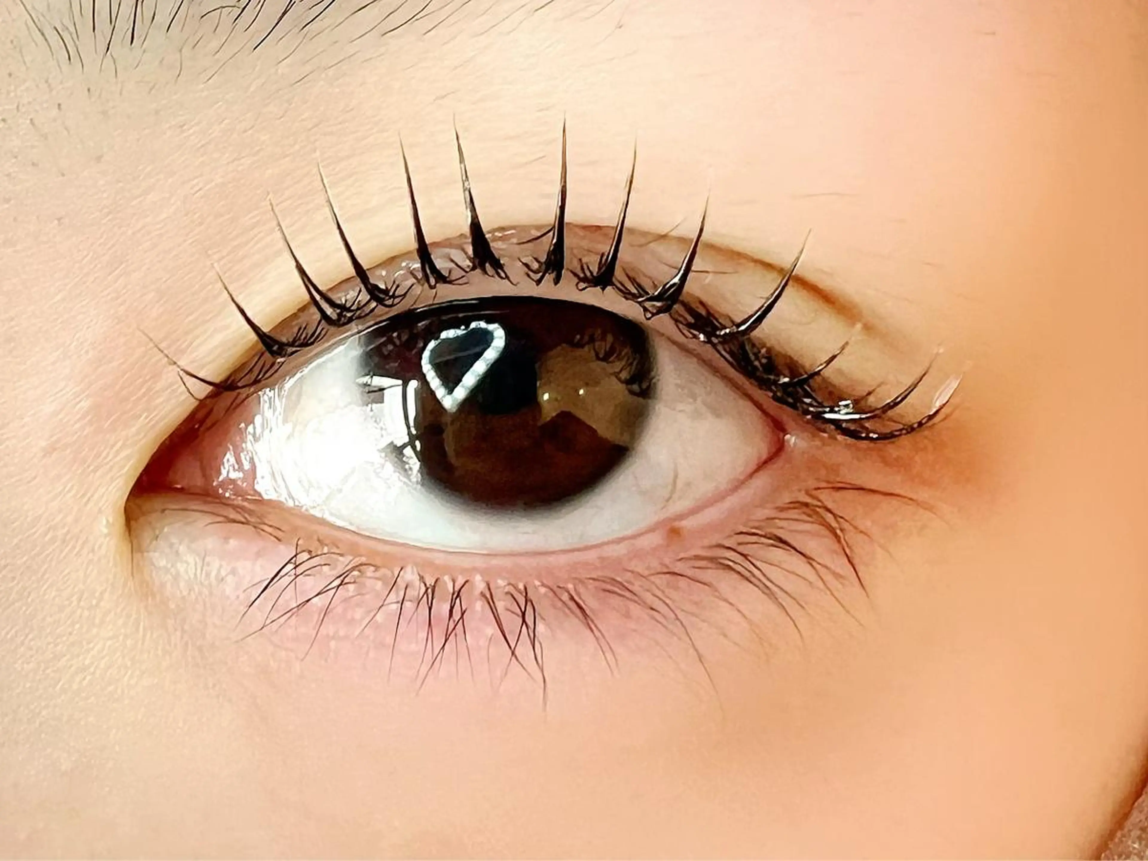 マツエク・マツパ Celeste Venus所属・🧸Celeste Venusのマツエク・マツパデザイン