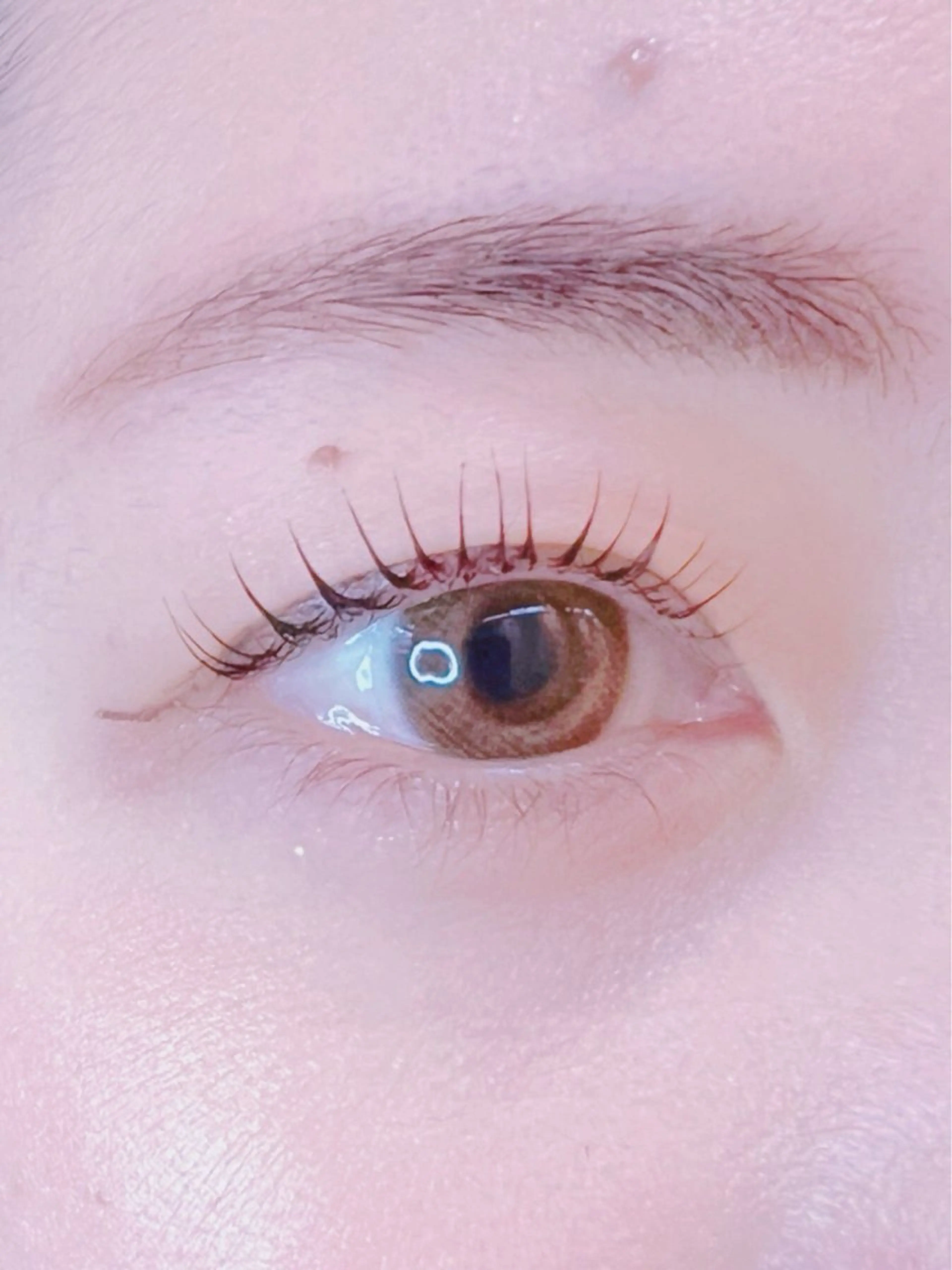 マツエク・マツパ 一重×まつ毛パーマ pico所属・pico 守口 大日 門真 寝屋 摂津のマツエク・マツパデザイン