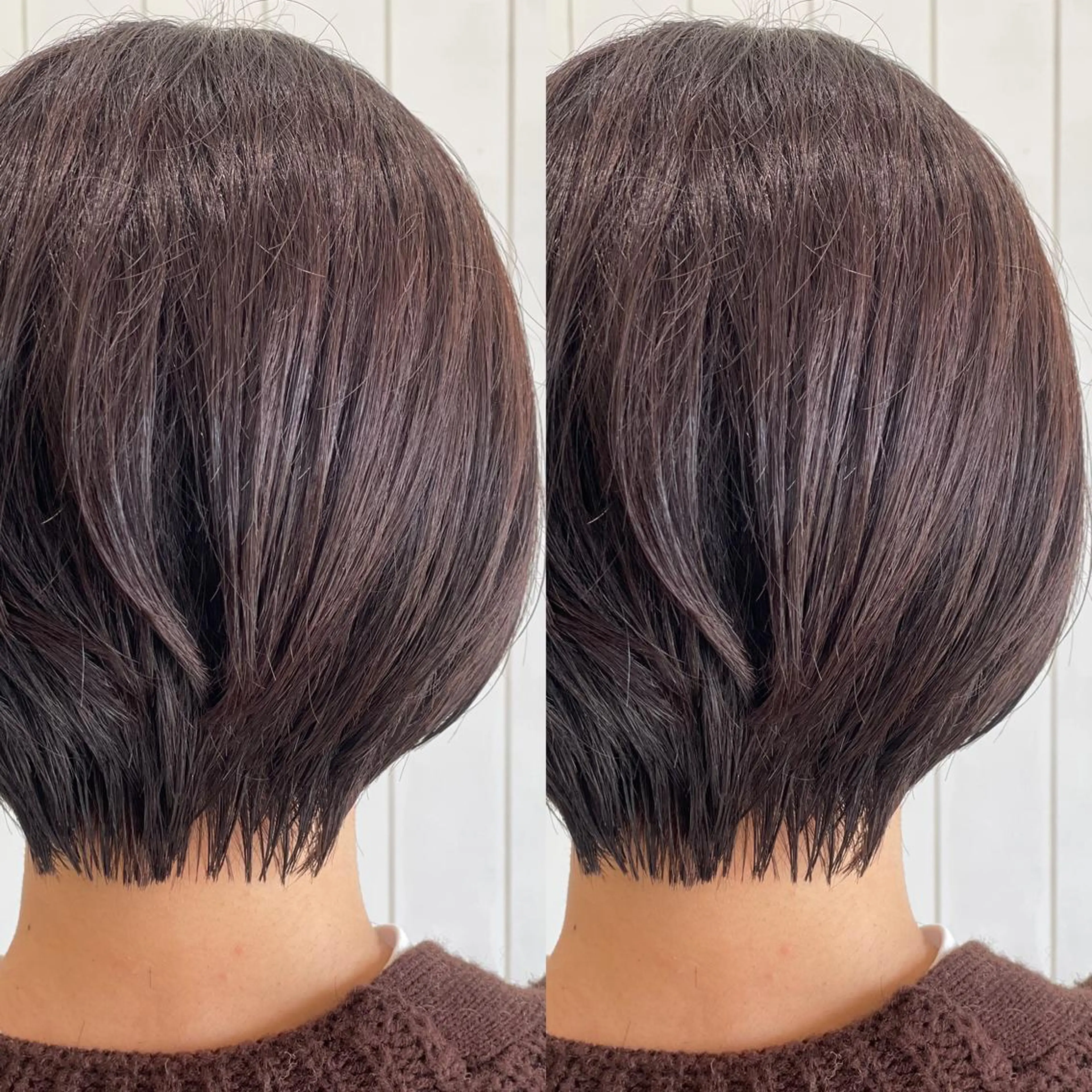 ショート 丸みショート ショートヘア Snaly カラー特化ページのヘアスタイル