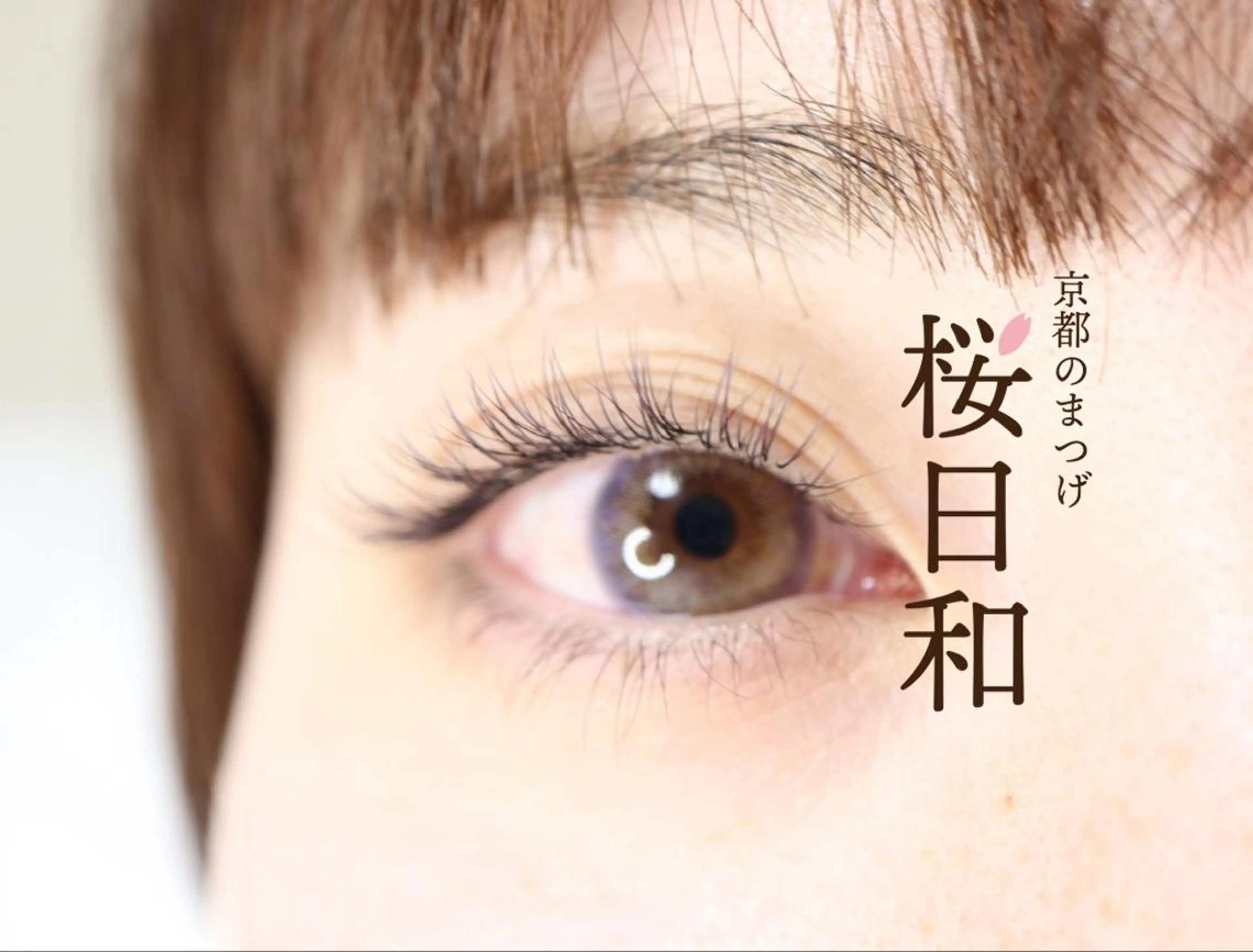 マツエク・マツパ フラットラッシュ Jカール パリジェンヌラッシュリフト まつげパーマ セクシー 京都のまつげ桜日和 小島美桜のマツエク・マツパデザイン