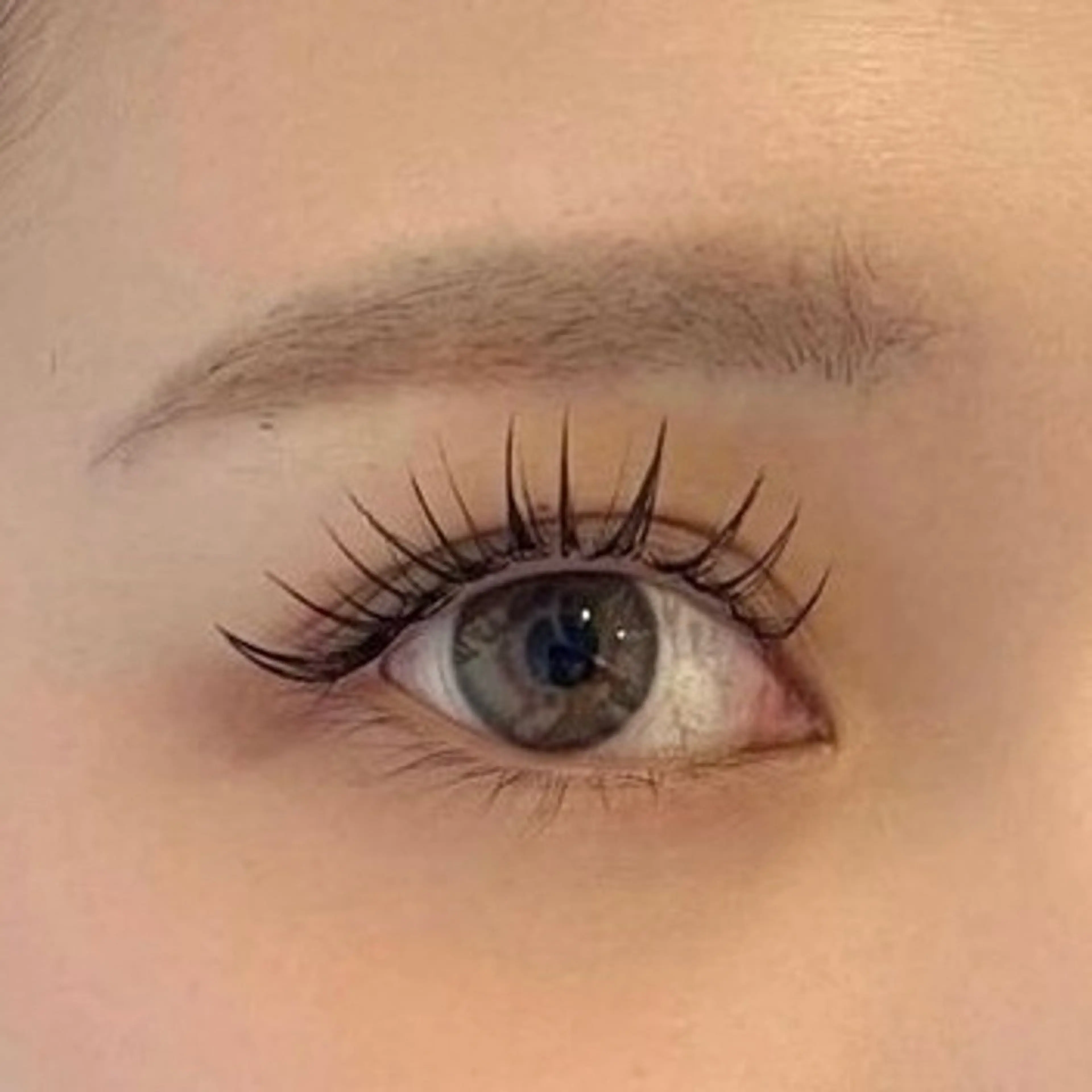 《LEDマツエクモニター募集》LEDフラットラッシュ100本オフ込みの写真