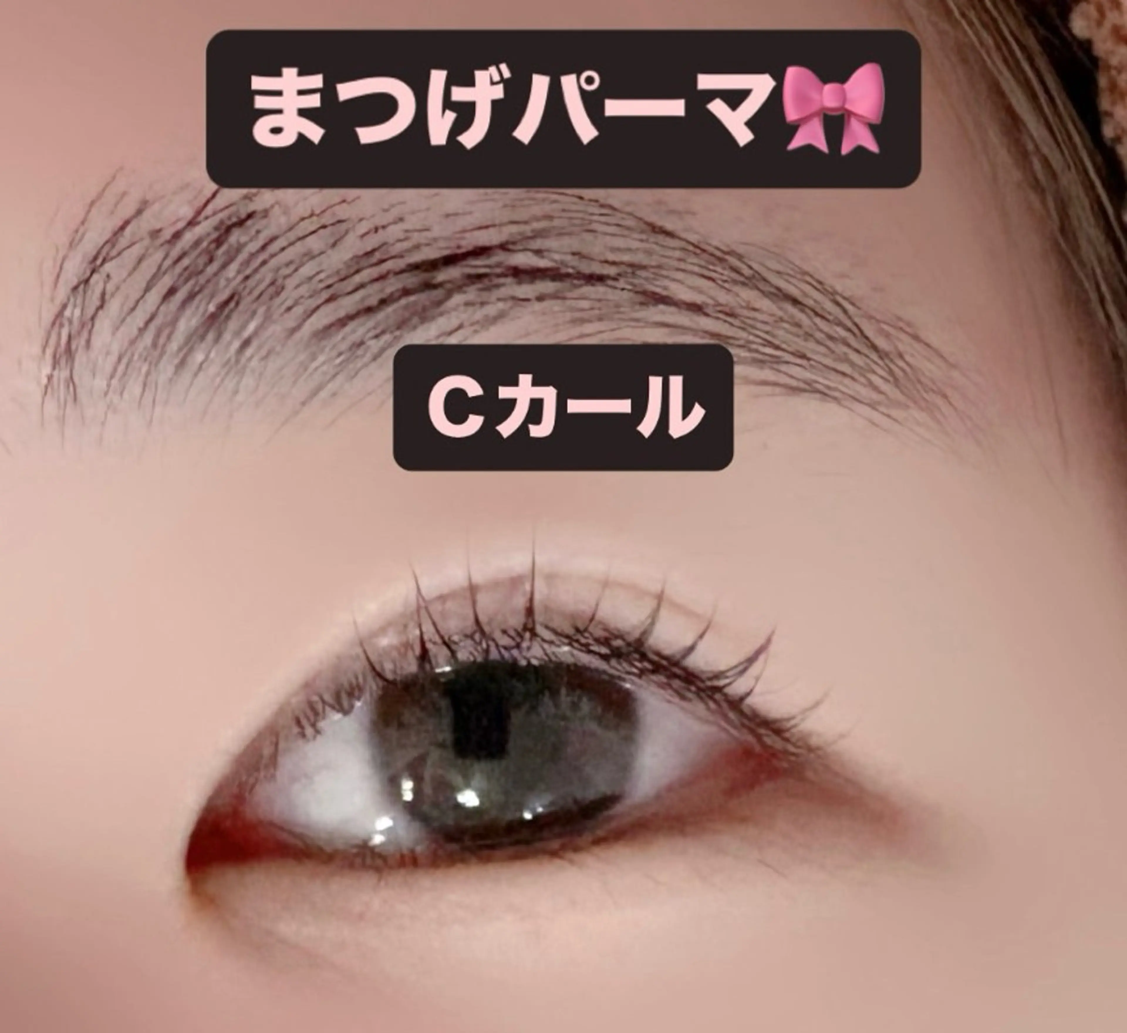 マツエク・マツパ まつげパーマ マツパ 🎀ROAR🎀 SAYAのマツエク・マツパデザイン