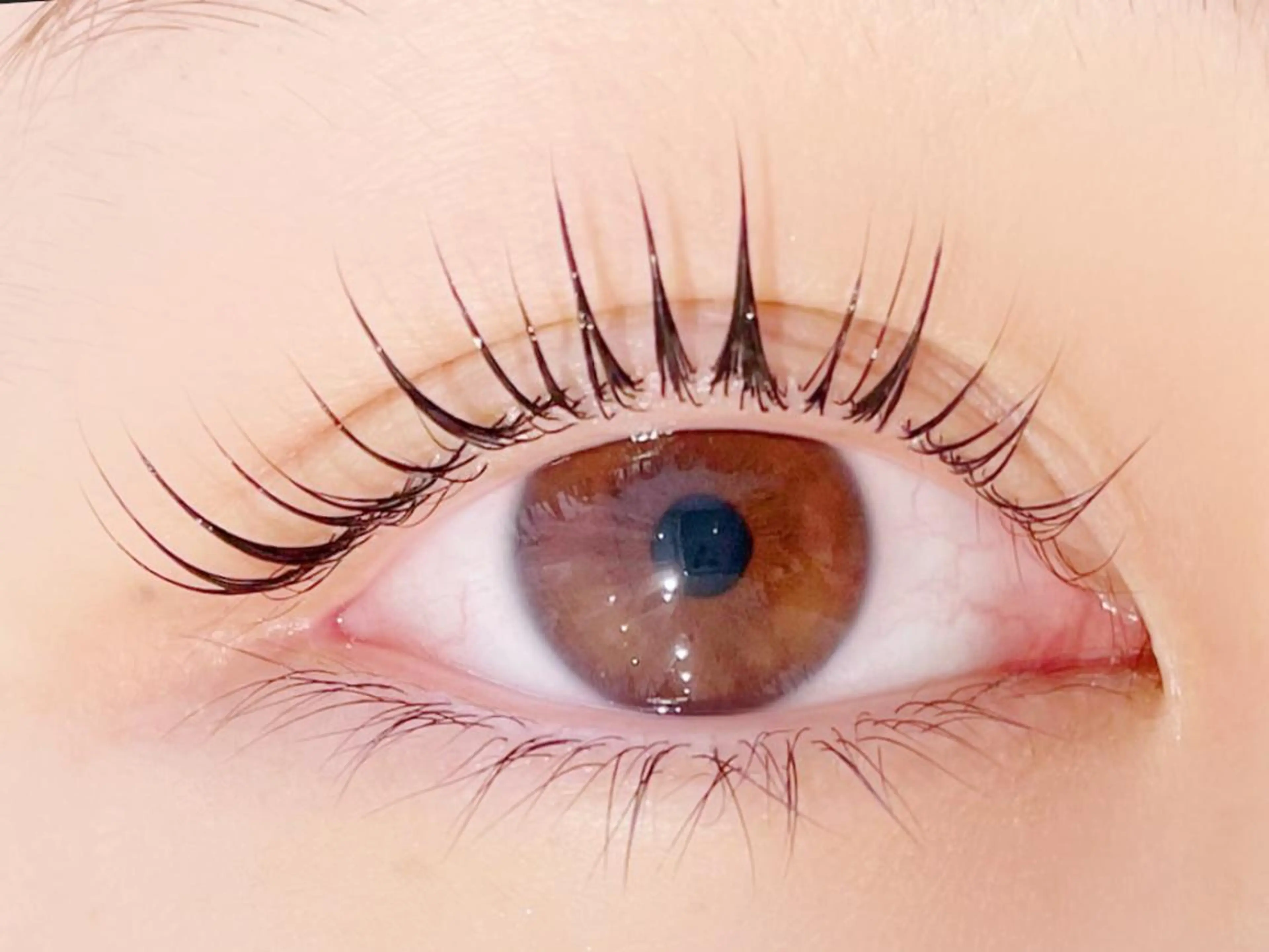 マツエク・マツパ Mian 津田沼のマツエク・マツパデザイン