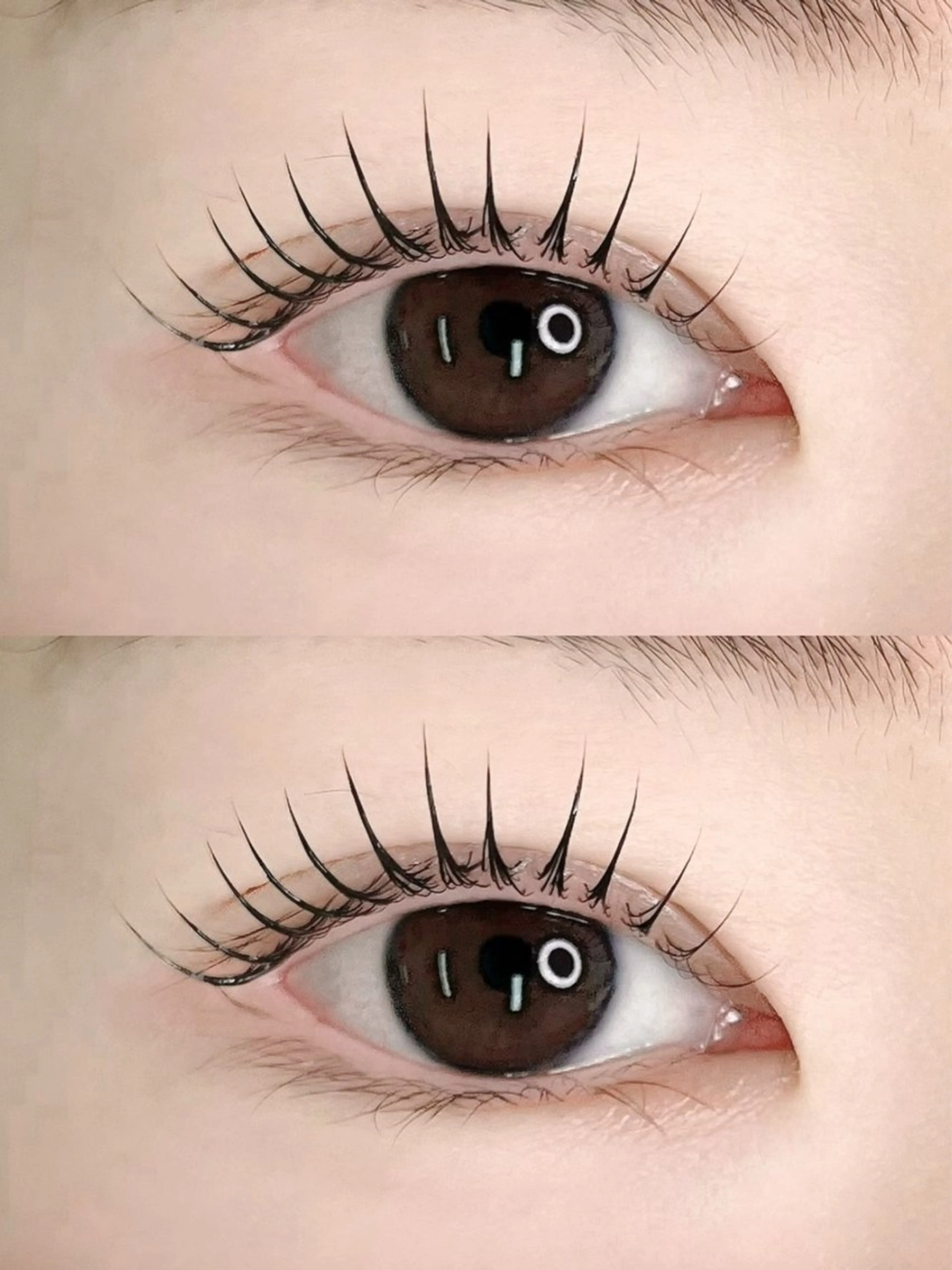 新規限定🦋韓国風束感🦋根元から立ち上け パリジェンヌラッシュリフト/コーティング仕上げ4980➡️3990の写真