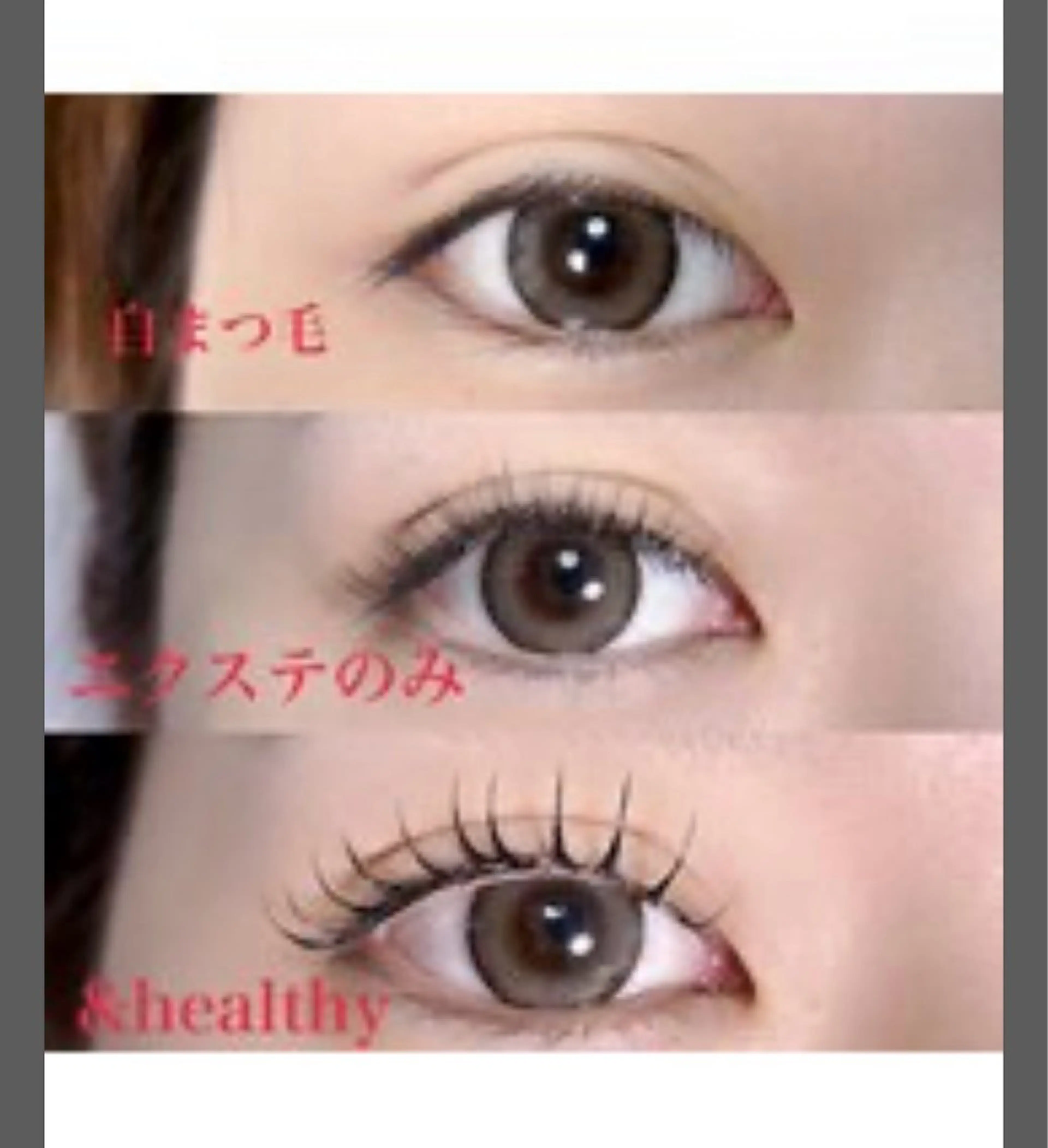 マツエク×ラッシュリフト&healthy60束の写真