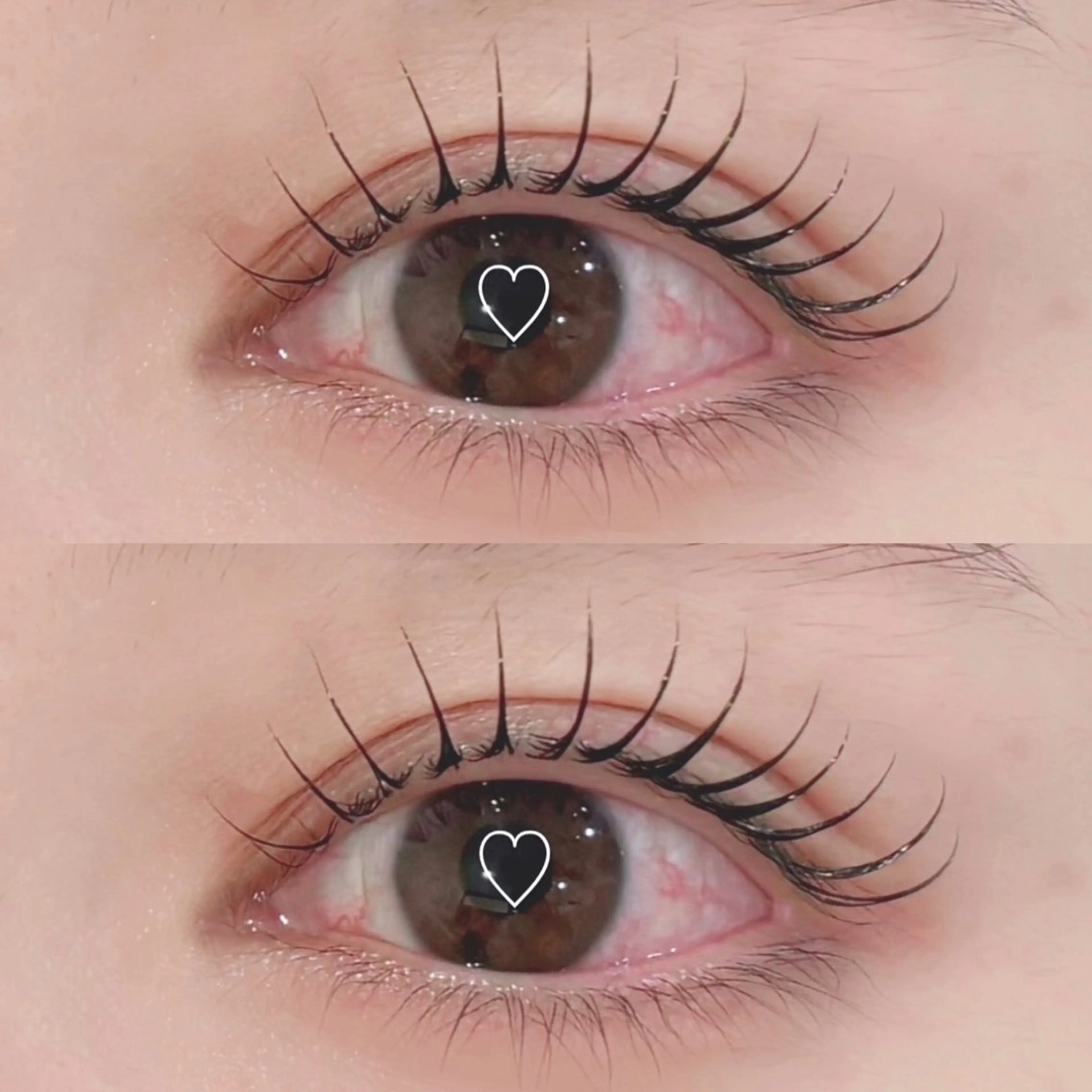 ✨12/25🎄限定🩰【似合わせ束間🌷】まつ毛パーマorパリジェンヌ☁️コーティング付き🌷の写真